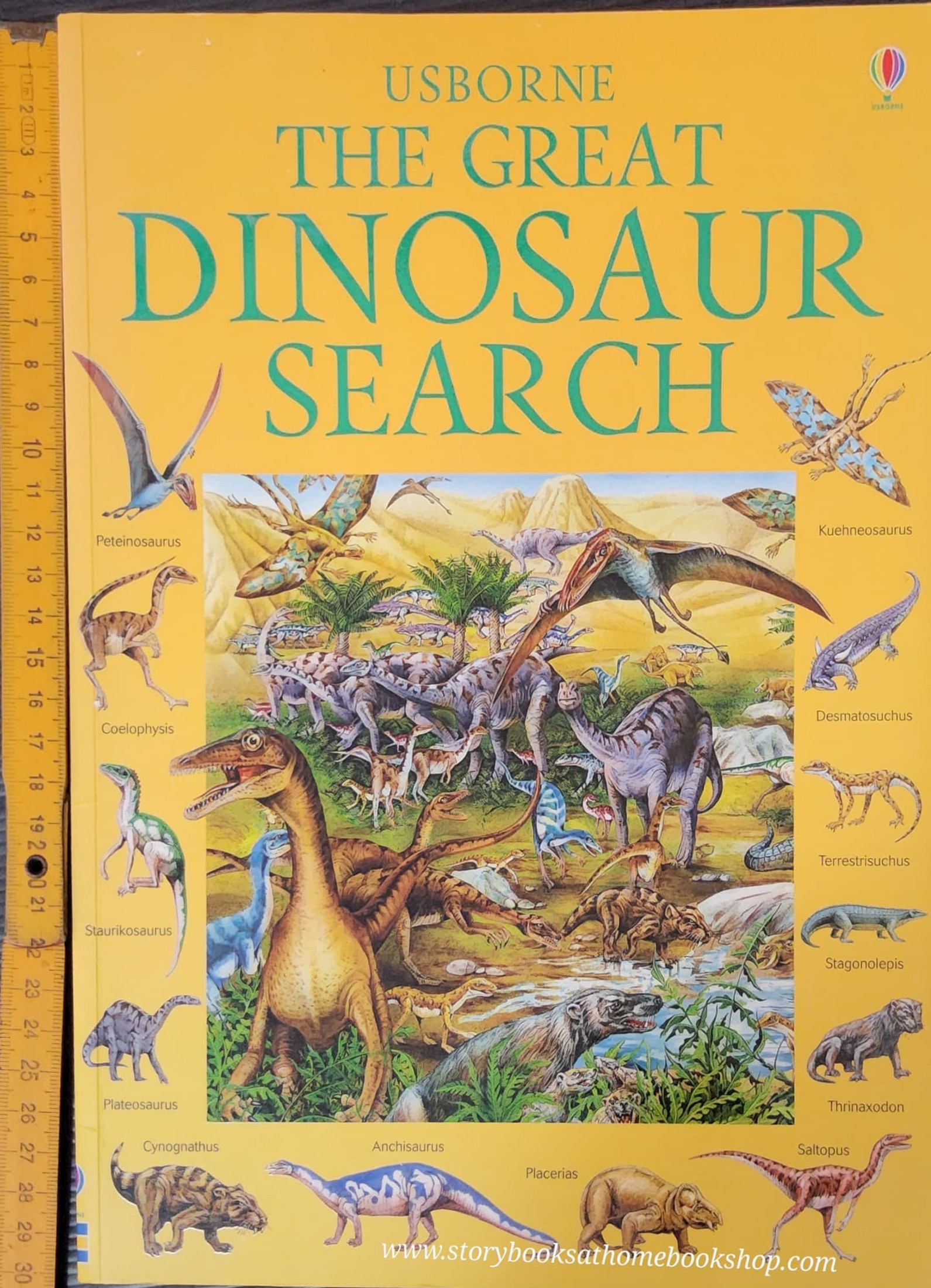 PUZZLE BOOK** 🍅USBORNE THE GREAT DINOSAUR SEARCH