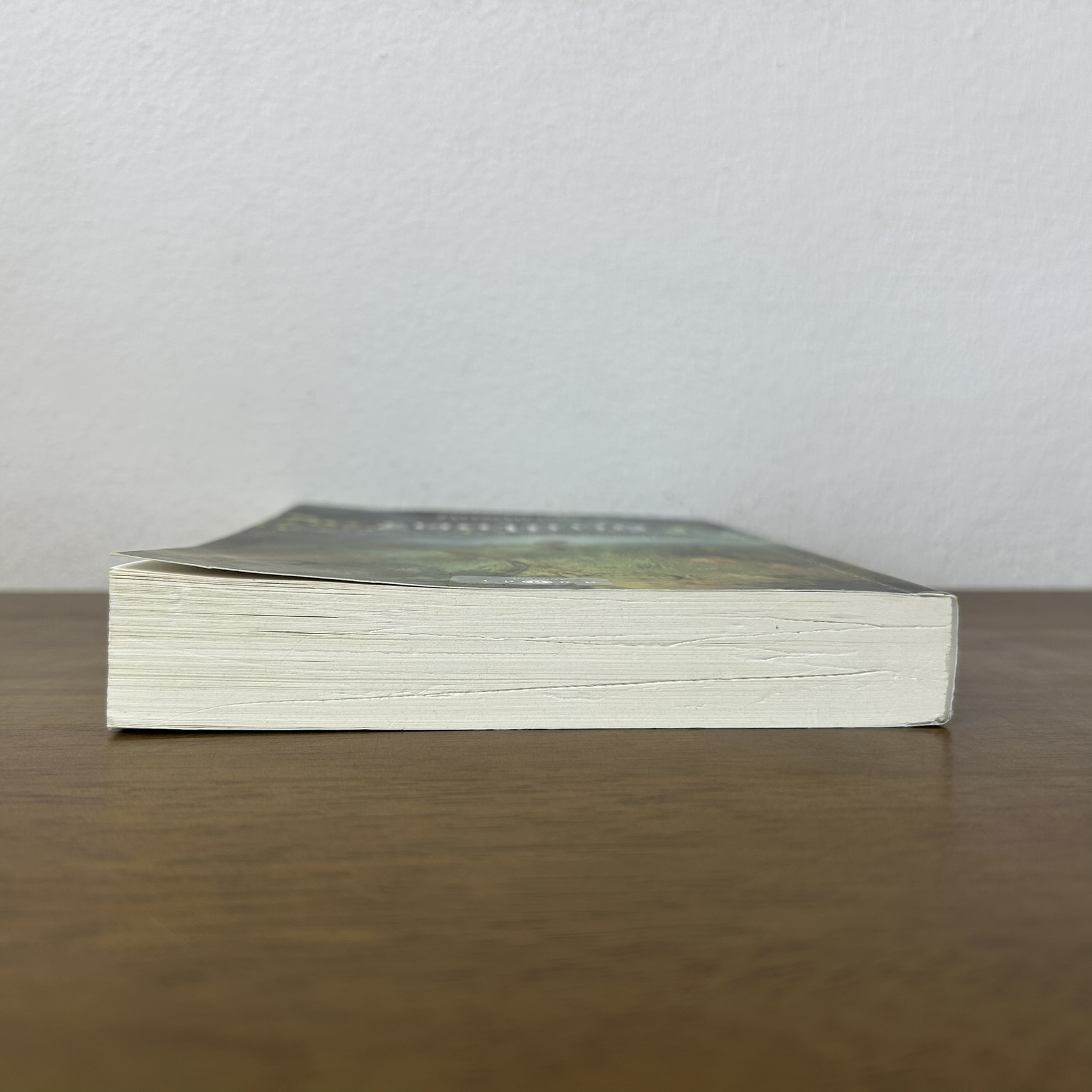 อัคนีโหตรี ... ชญาน์พิมพ์ (มือสอง) นิยาย โรแมนติก พิมพ์คำ สถาพร