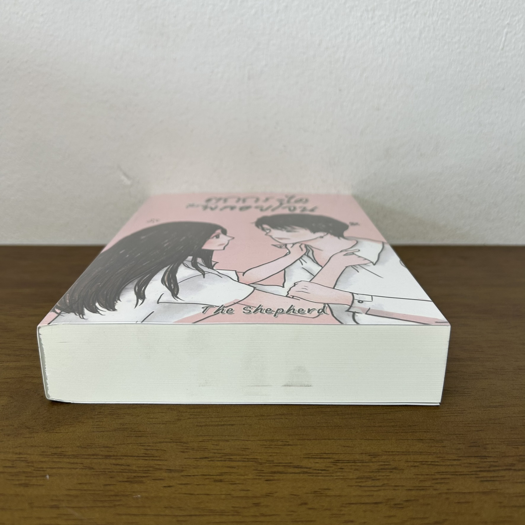 ตกกระไดพลอยโจน ... The Shepherd (มือสอง) นิยาย โรแมนติก ทำมือ