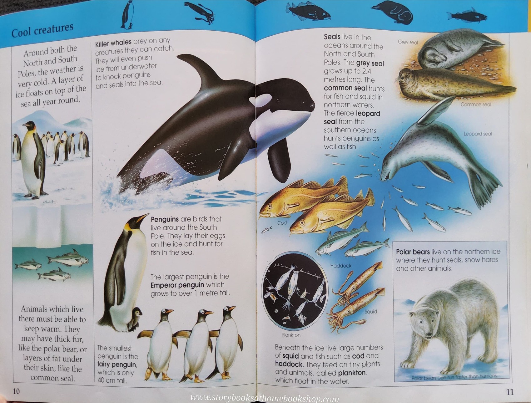 Knowledge Book** ððPUFFIN FACTFINDERS FANTASTIC SEA CREATURES