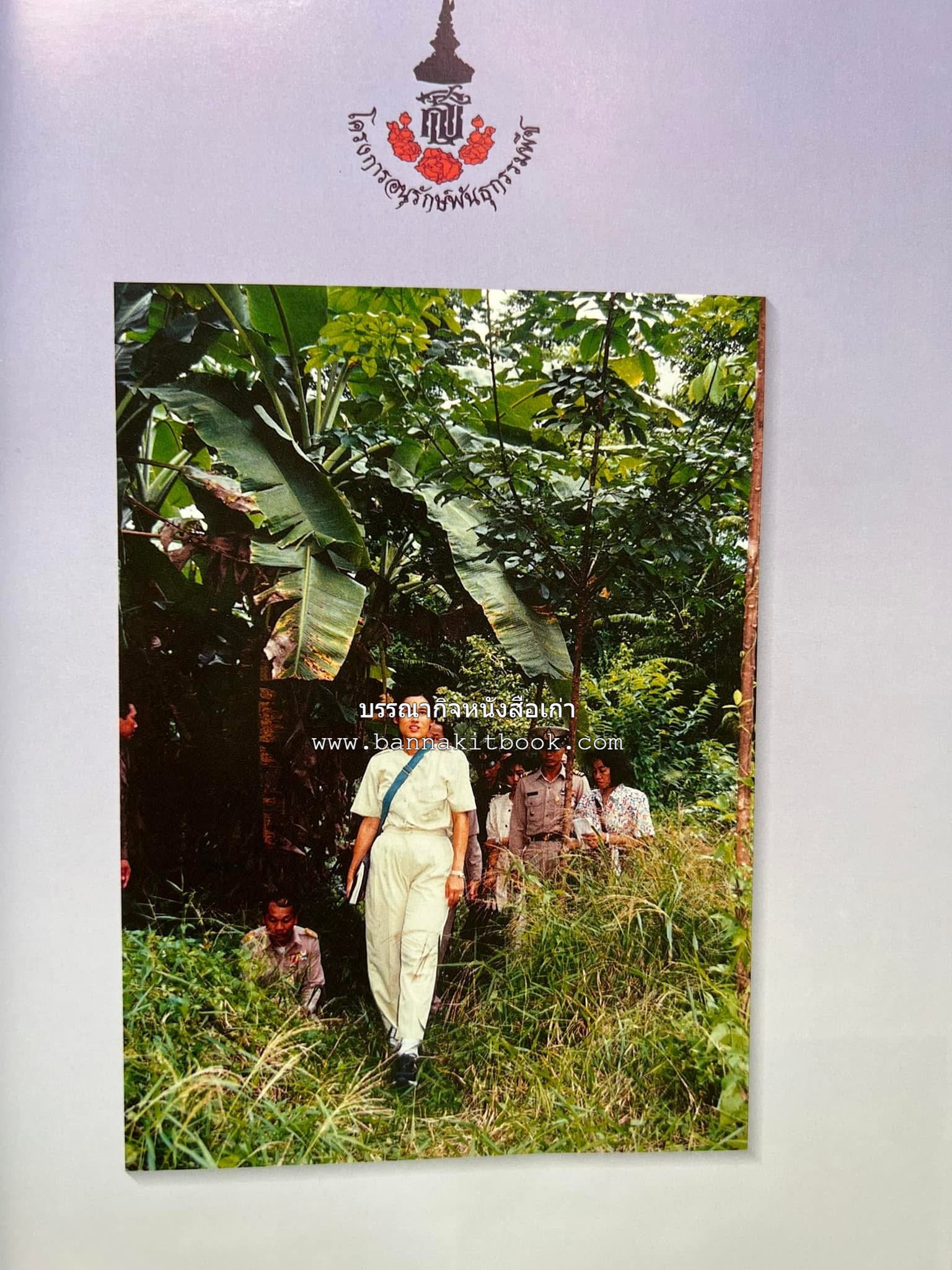 ไม้พุทธประวัติ โดย : ศาสตราจารย์กิตติคุณ ดร.พเยาว์ เหมือนวงษ์ญาติ ราชบัณฑิต ผู้เชี่ยวชาญเภสัชวิทยา และสมุนไพรไทย.