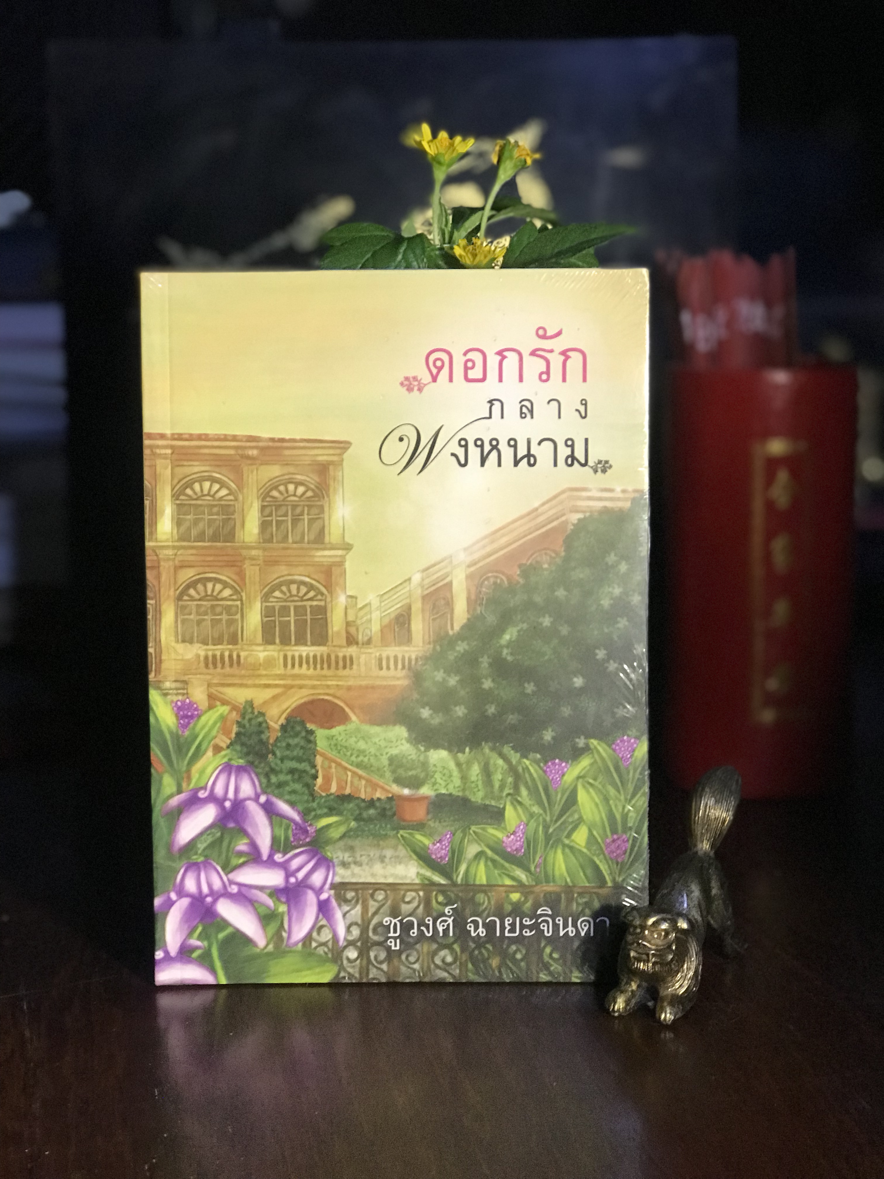 ดอกรักกลางพงหนาม ผู้เขียน ชูวงศ์ ฉายะจินดา สำนักพิมพ์แสงดาว | รา | H13