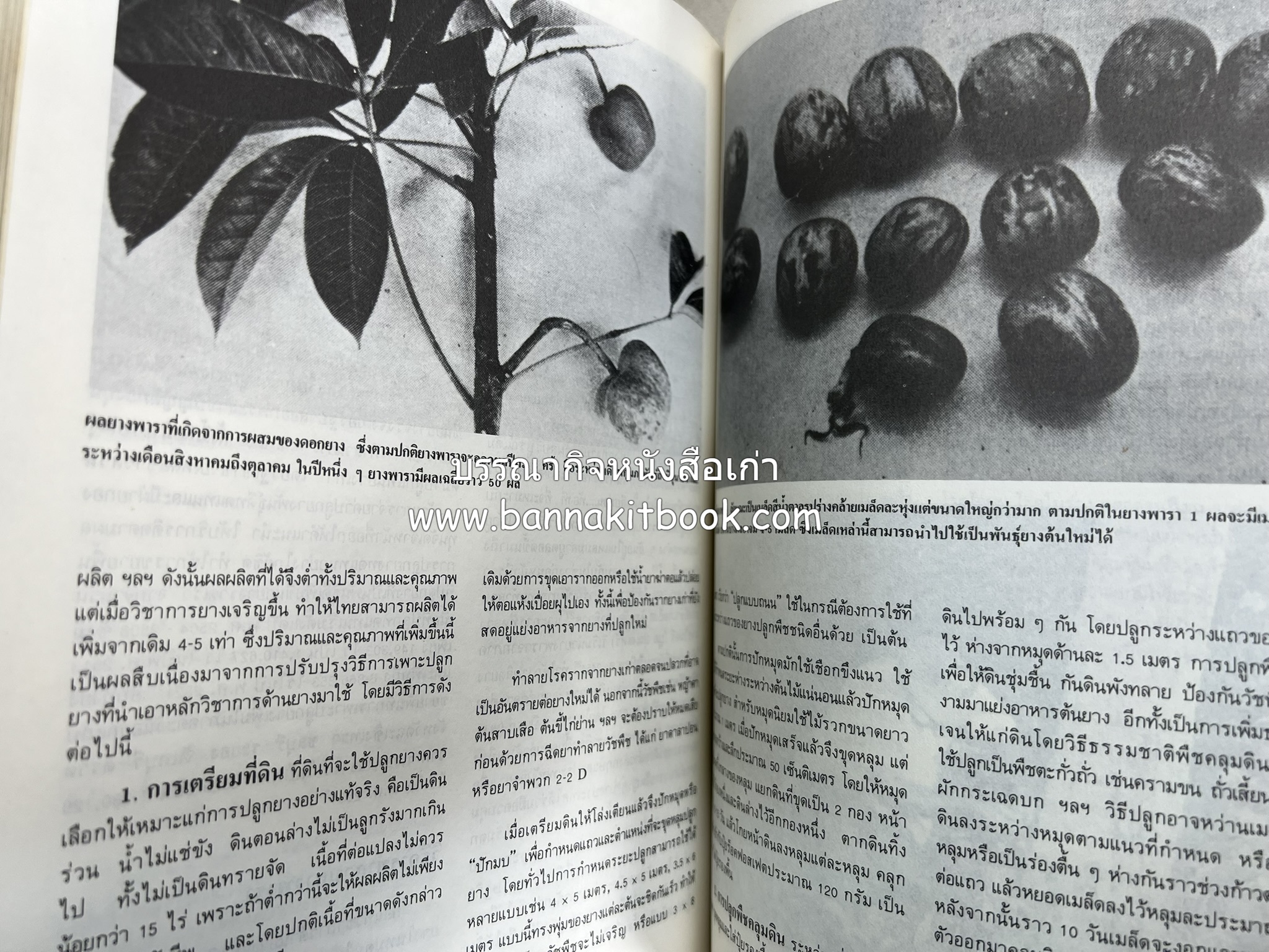 ถลาง ภูเก็ต และชายฝั่งทะเลอันดามัน : โบราณคดี ประวัติศาสตร์ ชาติพันธุ์และเศรษฐกิจ.