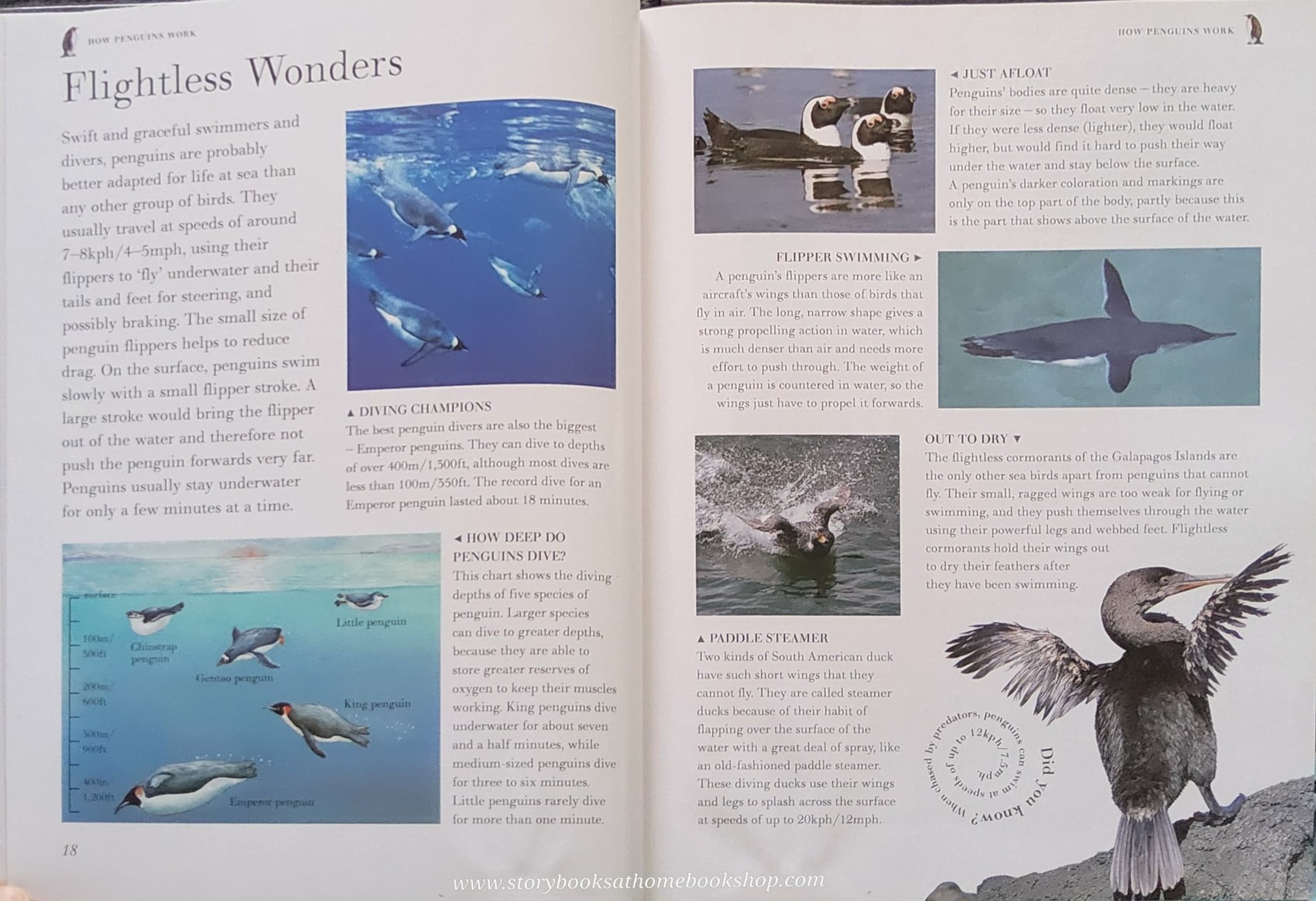 Knowledge Book** 🍅🍓EXPOLRING NATURE:FANTASTIC PENGUINS