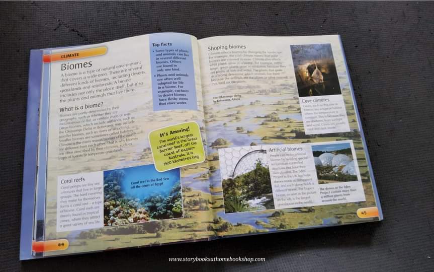 KNOWLEDGE BOOK ** 🍅CHILDREN'S WEATHER ENCYCLOPEDIA