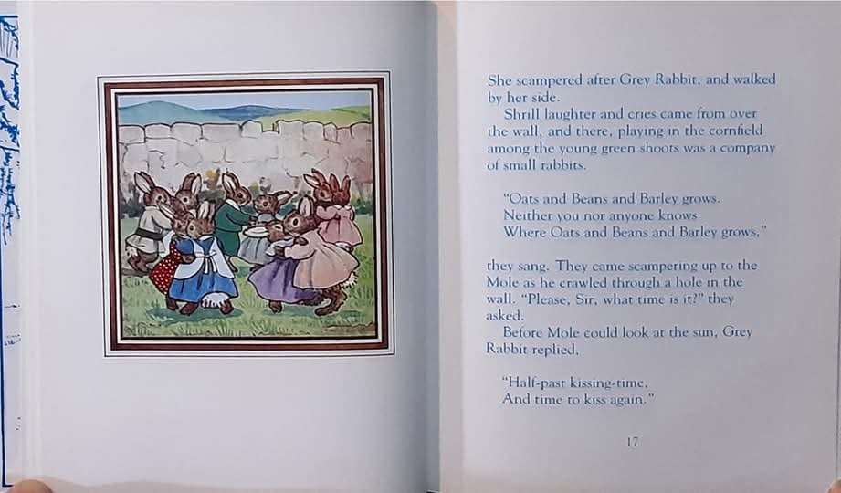 หนังสือนิทานปกแข็ง** 🍓🍓 MOLDY WARP THE MOLE