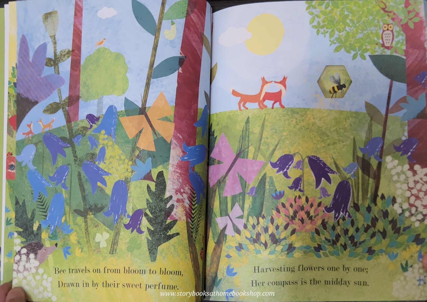 หนังสือนิทานปกอ่อน** 🍓🍓NATURE'S TINY MIRACLE BEE