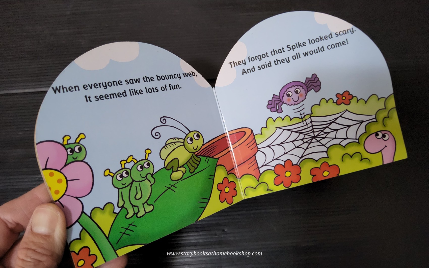 BOARD BOOK** 🍅🍓BUG BOOKS SPIKE THE SPIDER
