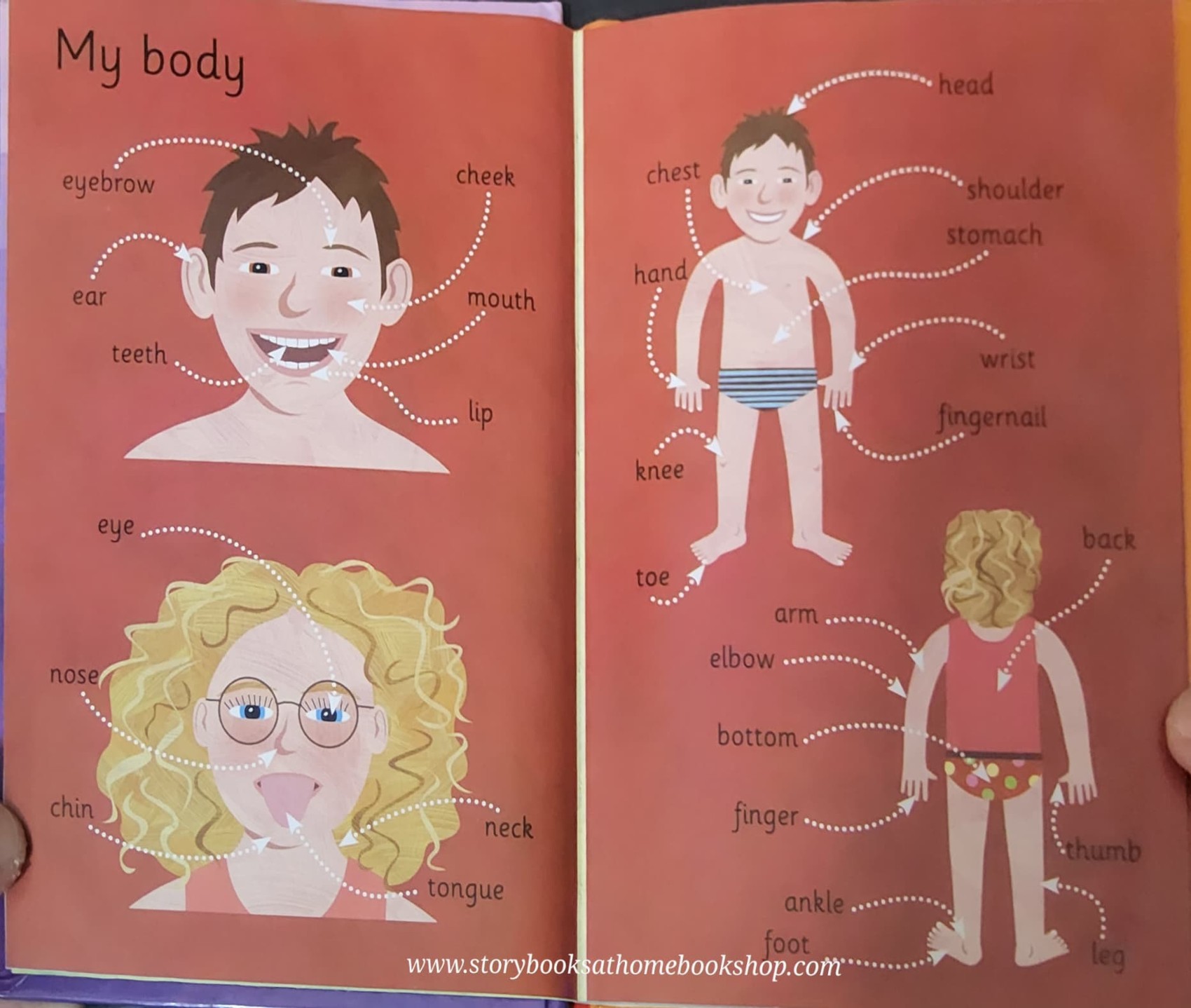 หนังสือนิทานปกแข็ง** ♥️♥️EVERYDAY WORDS