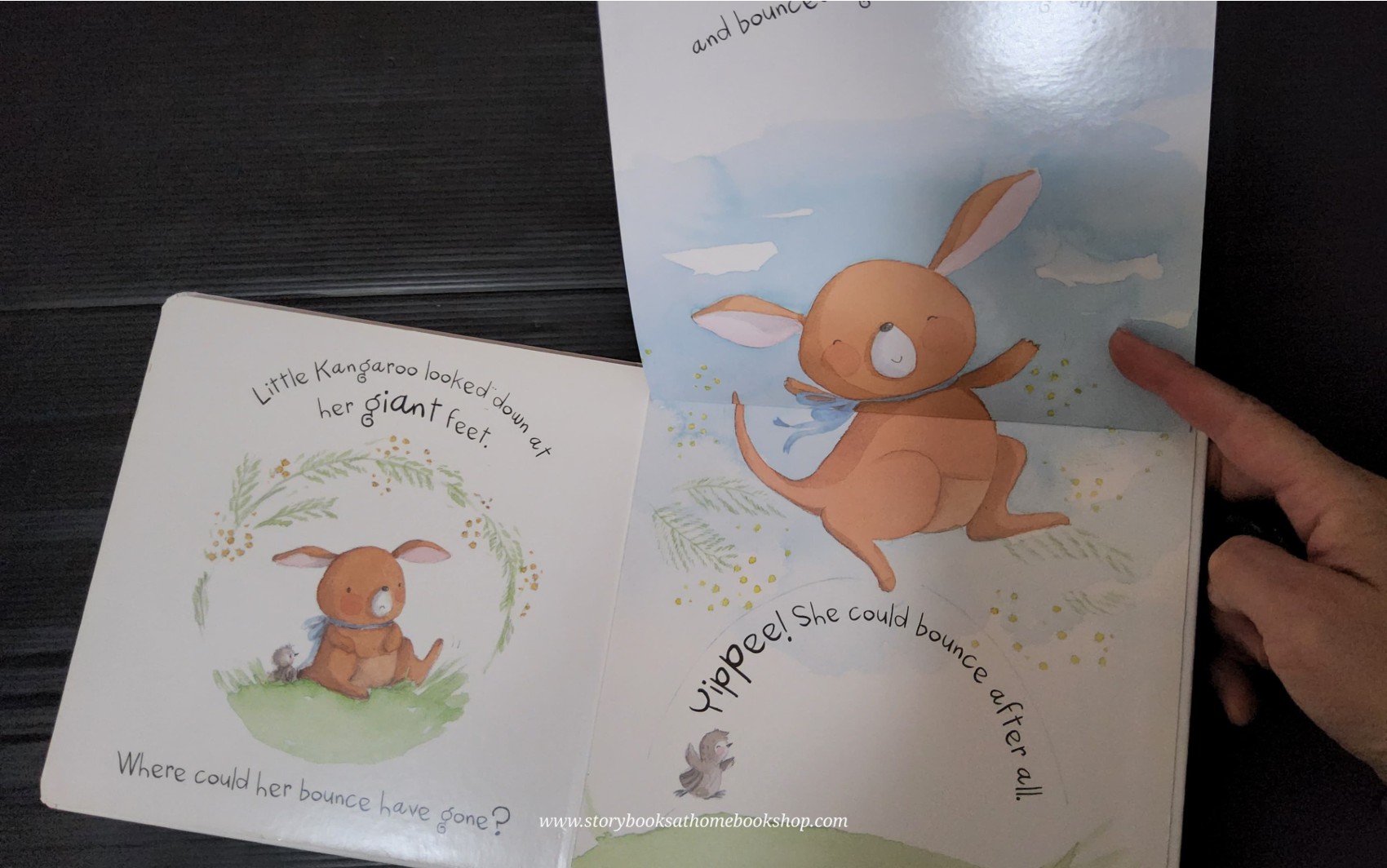 FLAP BOARD BOOK** ♥️THE LITTLE KANGAROO WHO LOST HER BOUNCE