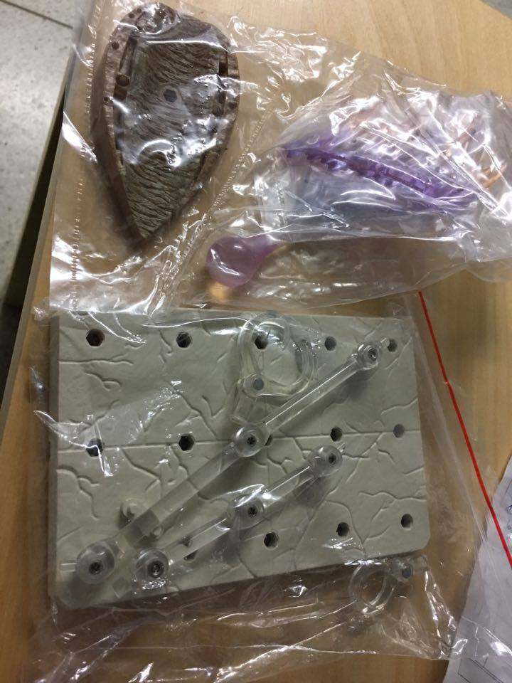 Dragon Ball Kamekameha Effect Model Figure Figma ดราก้อนบอล พลังคลื่นเต่า โมเดล ฟิกเกอร์ ฟิกม่า