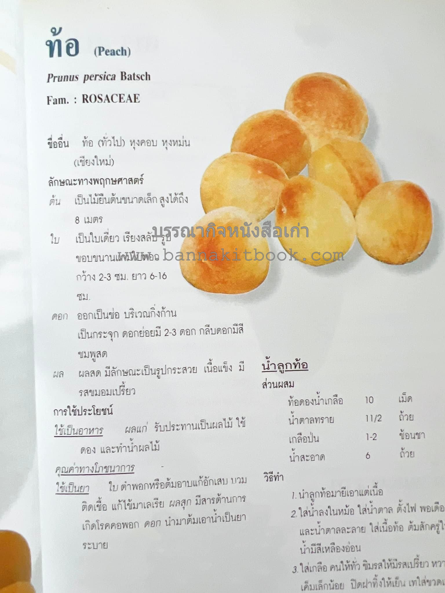 น้ำสมุนไพร 108 สูตร-วิธีทำจากผักพื้นบ้านและผลไม้ไทย โดย สถาบันการแพทย์แผนไทย.