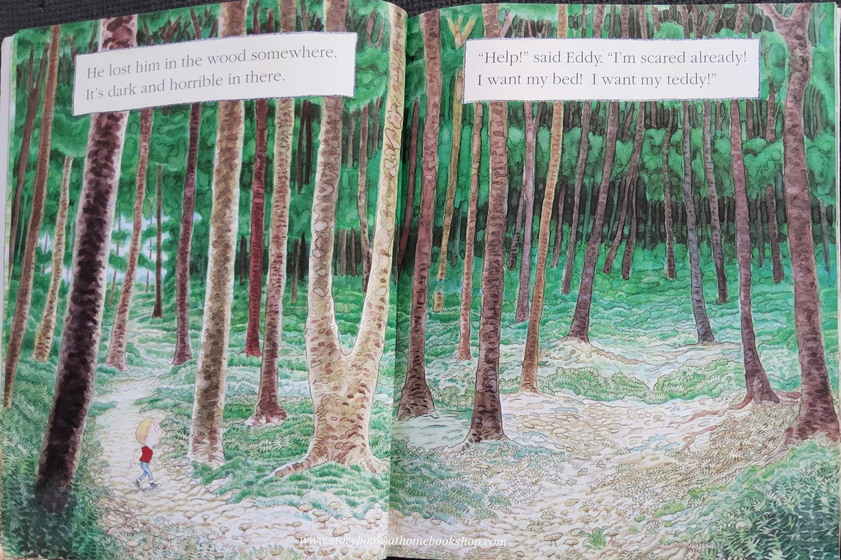 หนังสือนิทานปกอ่อน** 🍅🍓WHERE'S MY TEDDY? BY JEZ ALBOROUGH