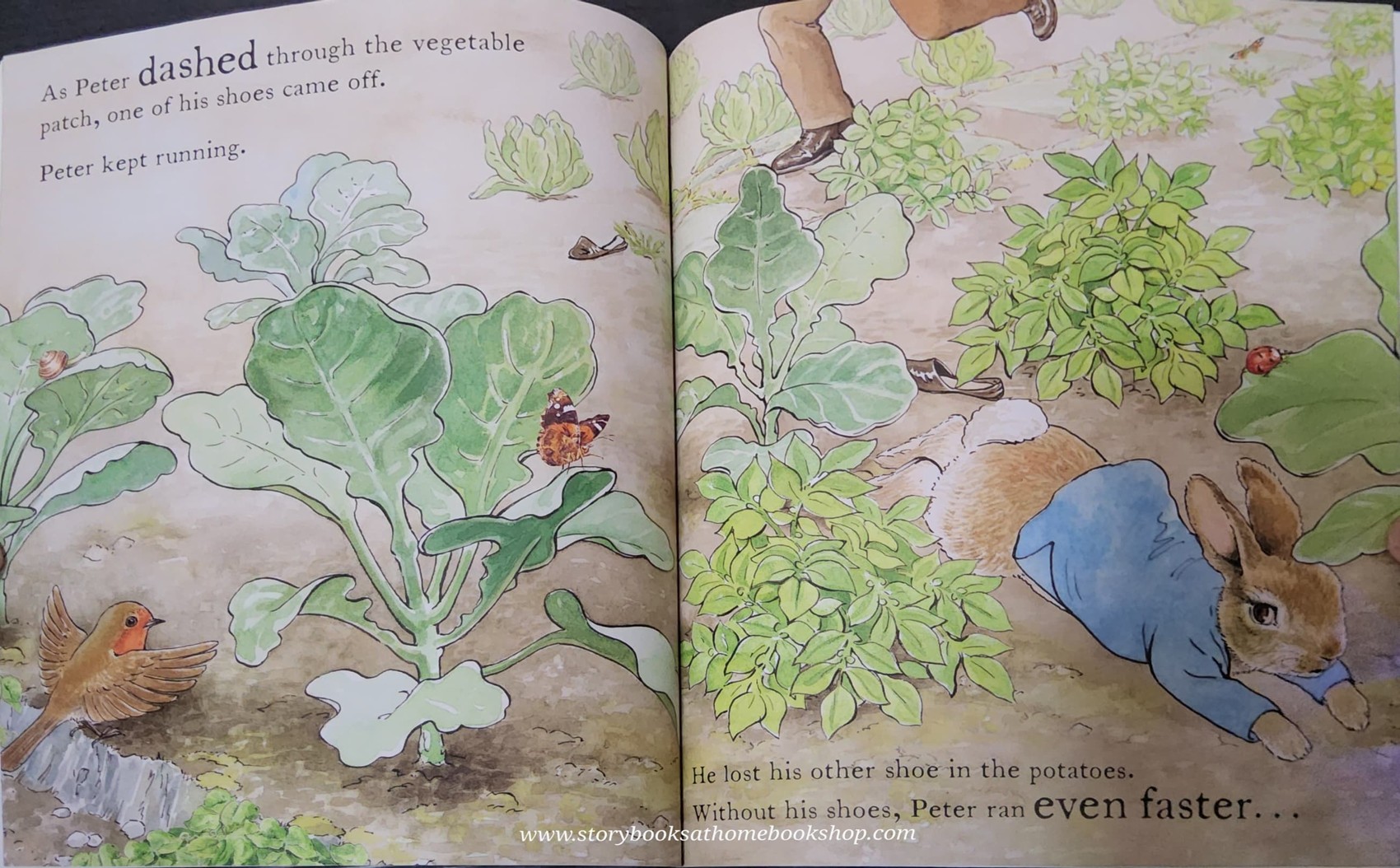 หนังสือนิทานปกอ่อน ** 🍅🍓 PETER RABBIT: The Tale of a Naughty Little Rabbit