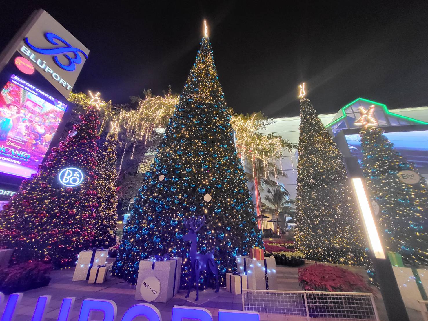 รวมต้นคริสต์มาสขนาดใหญ่ ใครอยากจัดสวนคริสต์มาสที่นี่เลย