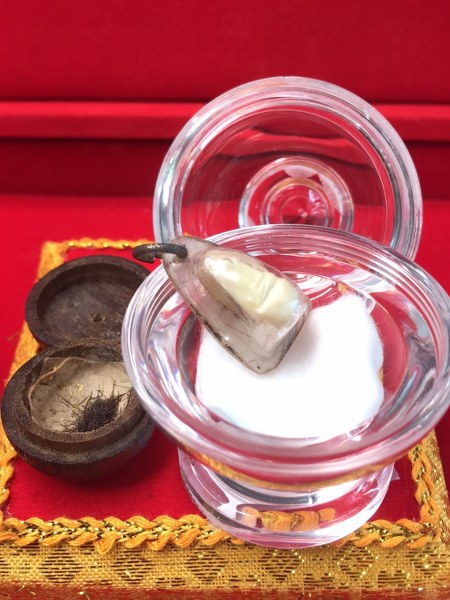 พระทันตธาตุครูบาอภิชัยขาวปี วัดผาหนาม จ.ลำพูน และพระเกศาธาตุ