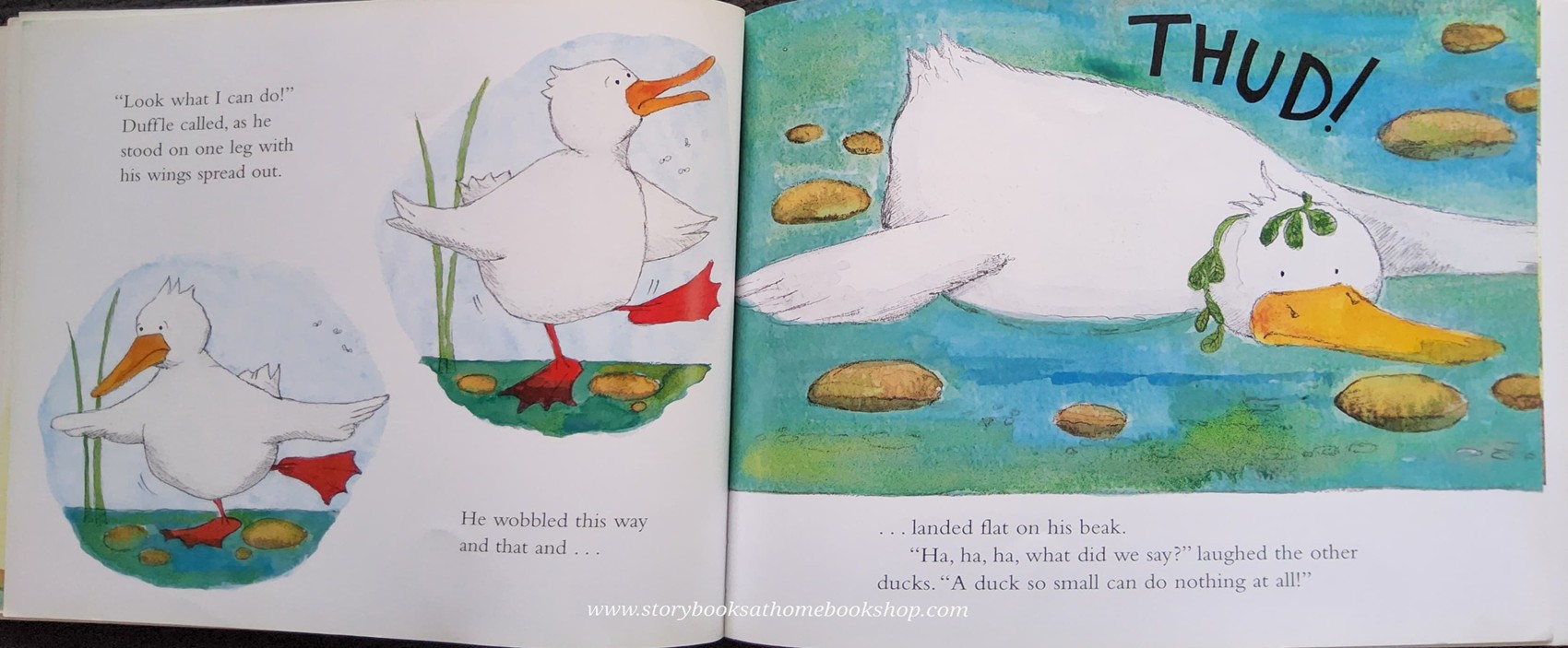 หนังสือนิทานปกอ่อน** 🍓🍓A DUCK SO SMALL BY AH BENJAMIN