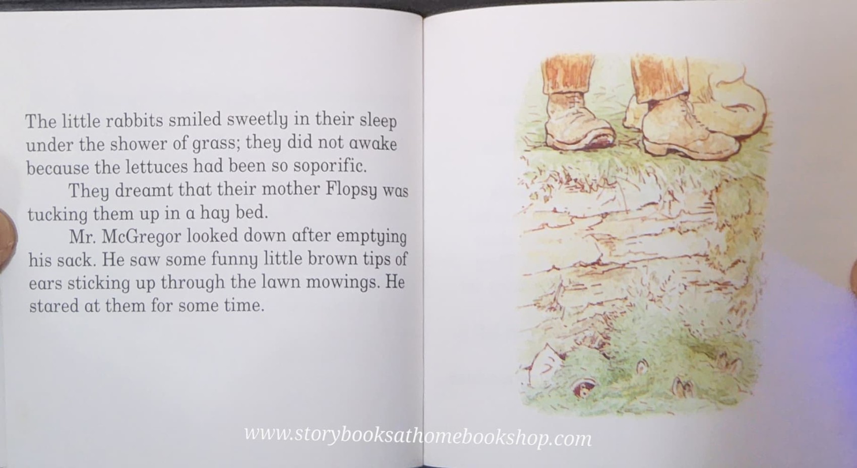 หนังสือนิทานปกอ่อน ** 🍅🍓THE TALE OF THE FLOPSY BUNNIES