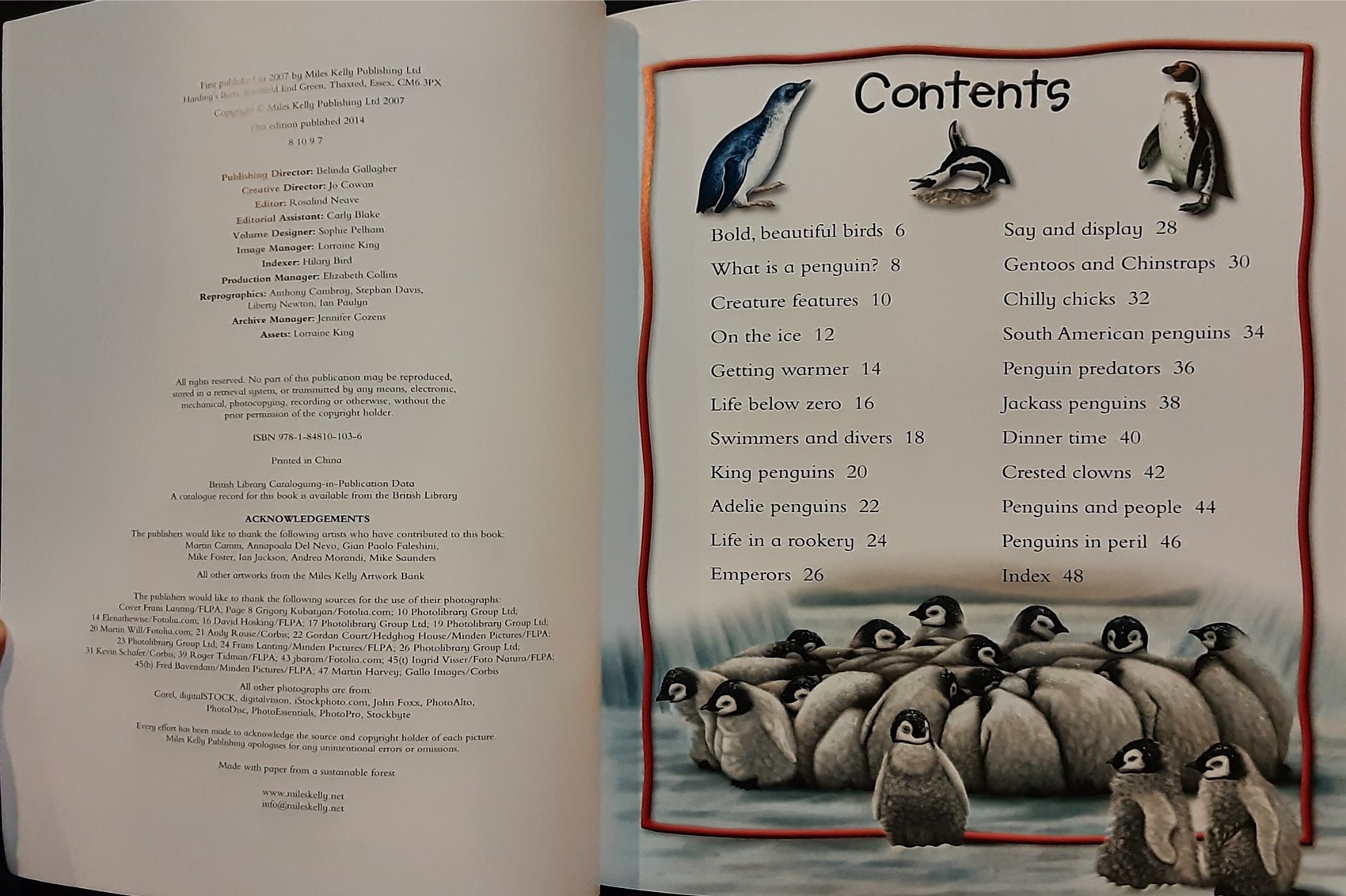 KNOWLEDGE BOOK** ♥️♥️100 FACTS PENGUINS♥️♥️