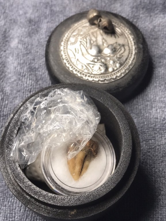 พระทันตธาตุ ครูบาเงิน วัดกอโชค จ.เชียงใหม่่ พระทันครูบาเงินนี้ ได้รับมาจากคุณอภิรักศ์ ท่านเป็น ผอ. โรงเรียนวัดท่ากาน อ.สันป่าตอง จ.เชียงใหม่ อายุ 52 ปี (บันทึก พ.ศ.2567) โดยได้รับมาจากคุณพ่อของท่าน ชื่อตานัน คุณตานัน เขียวคำ ท่านเสียเมื่อปี 2560