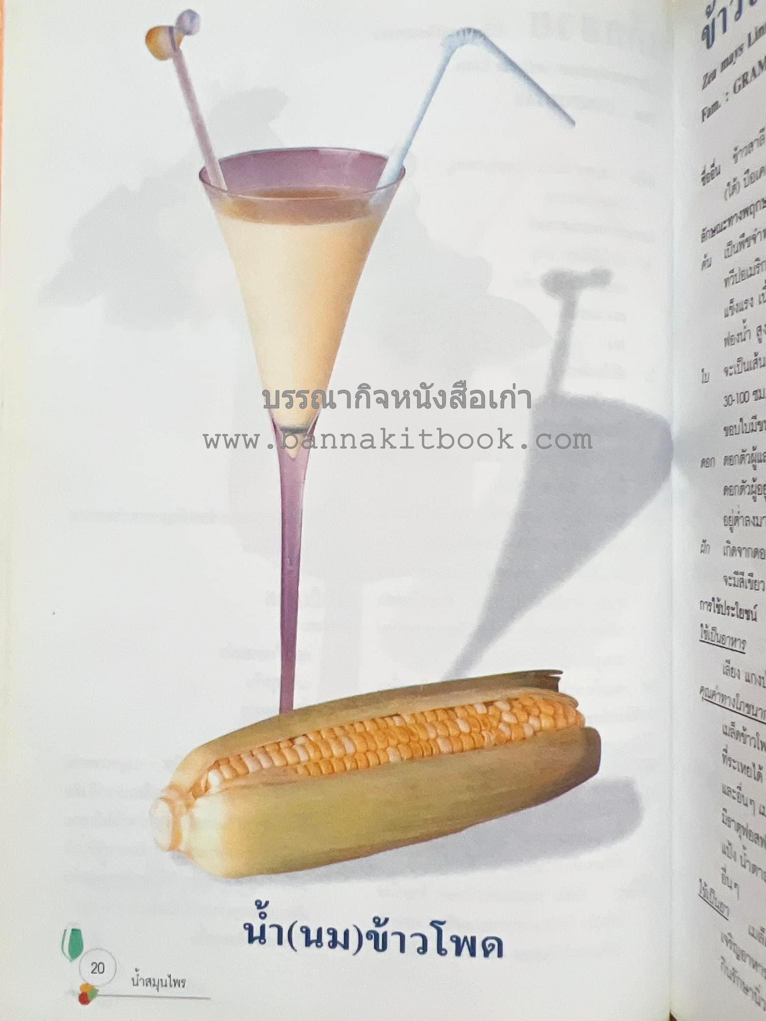 น้ำสมุนไพร 108 สูตร-วิธีทำจากผักพื้นบ้านและผลไม้ไทย โดย สถาบันการแพทย์แผนไทย.