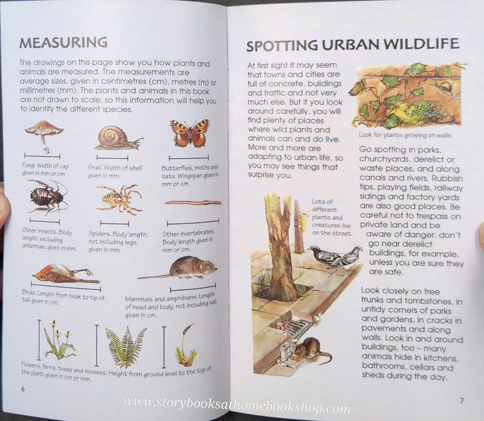 Knowledge Book** ð
ð
Usborne Spotter's Guide URBAN WILDLIFE