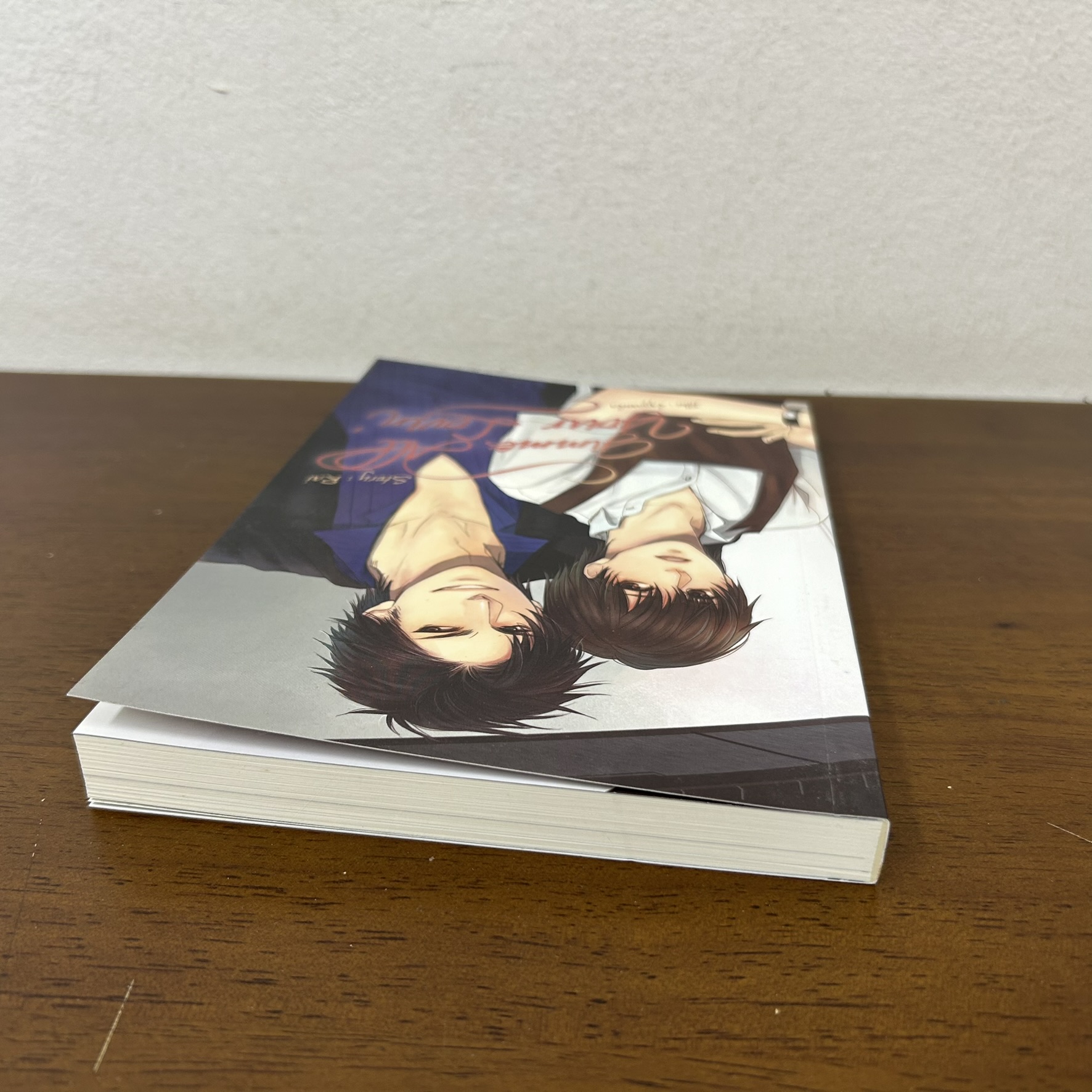 [YAOI] Gimme All Your Lovin ... Rai (มือสอง) นิยายวาย วายแปล Fu Novels