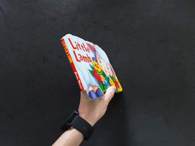 Board Book 🍅🍓Little Lamb