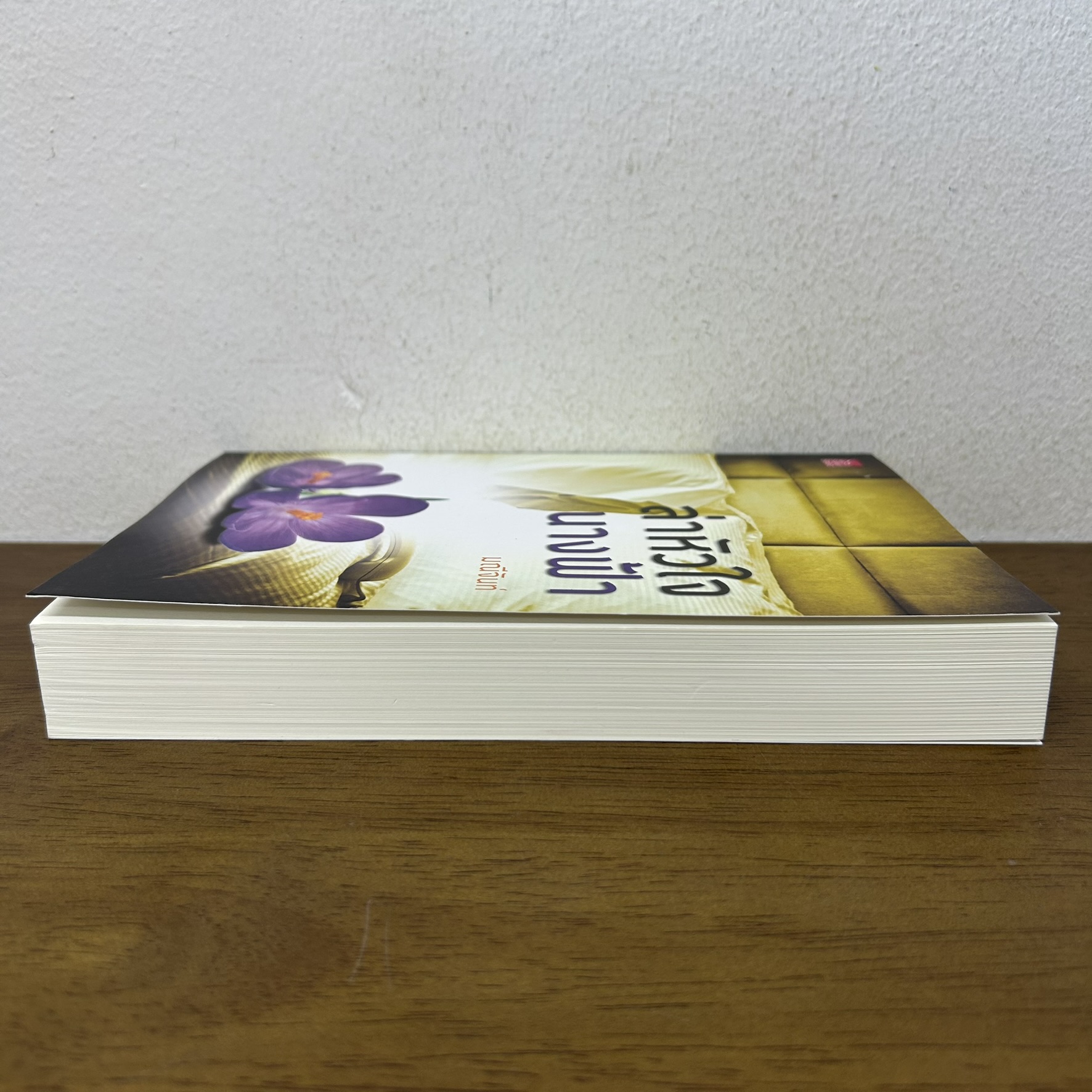 ล่าหัวใจนางฟ้า ... มณีจันท์ (มือสอง) นิยาย โรแมนติก ชูการ์บีท สถาพร