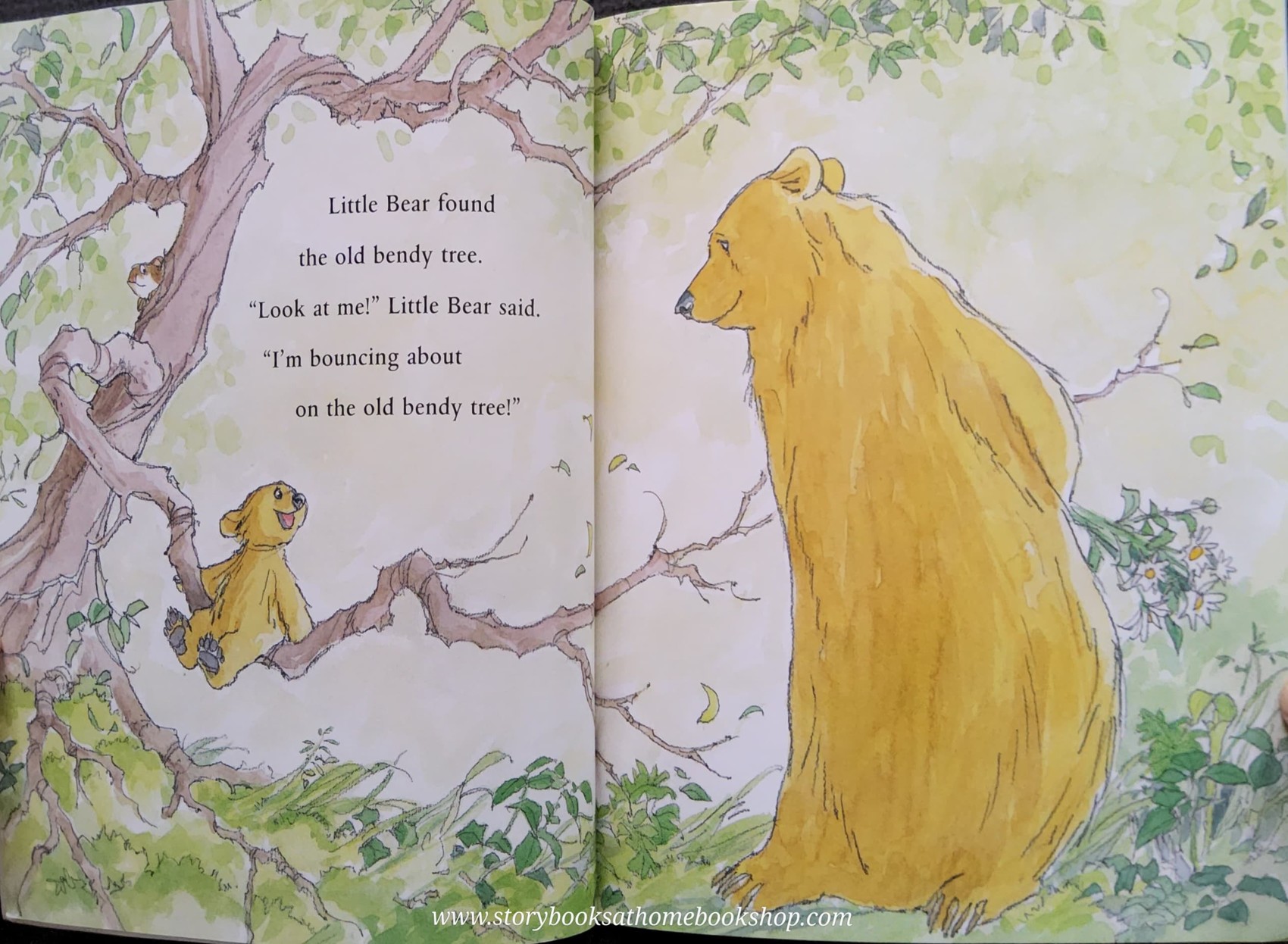 หนังสือนิทานปกอ่อน ** 🍓WELL DONE,LITTLE BEAR BY MARTIN WADDELL.BARNARA FIRTH