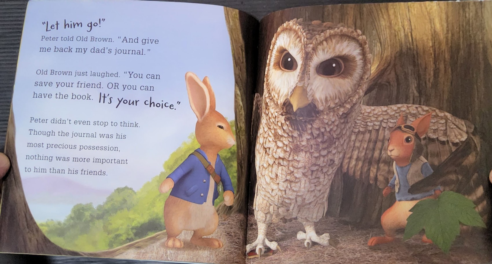 หนังสือนิทานปกอ่อน ** 🍅🍓PETER RABBIT:PETER'S SECRET MISSION