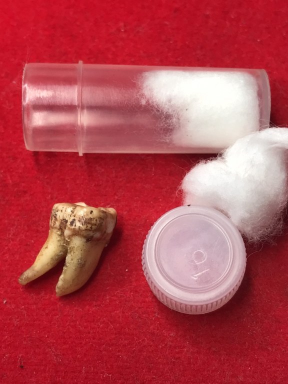 พระทันตธาตุครูบาคำแสน วัดป่าดอนมูล จ.เชียงใหม่ ได้มาจากกำนันคำ อดีตกำนันบ้านปากกอง อ.สารภี จ.เชียงใหม่ ปัจจุบันอายุ 86 ปี กำนันคำจะมีคนคอยหาวัตถุมงคลให้ ชื่อว่าลุงสมควร ปัจจุบันเสียชีวิตแล้ว ถ้ามีชีวิตอยู่ถึงปัจจุบันน่าจะมีอายุประมาณ 70 ปี