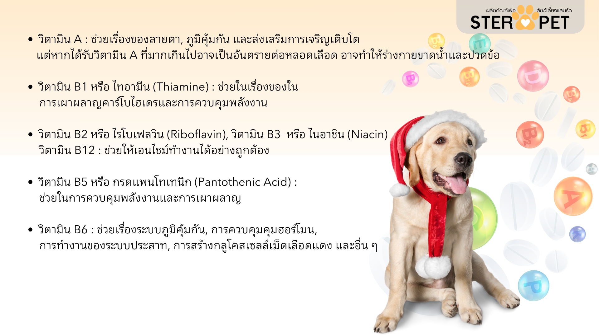 เซตทดลอง สเตอร์ เพ็ท Ster Pet เนื้องอกหมาแมว ก้อนเนื้อหมาแมว มะเร็งสุนัขแมว ลดอักเสบ ลดขนาดก้อนเนื้อ เบื่ออาหาร น้ำหนักลด ไตวายหมาแมว แผลยุบเร็ว ( 15 แคปซูล)