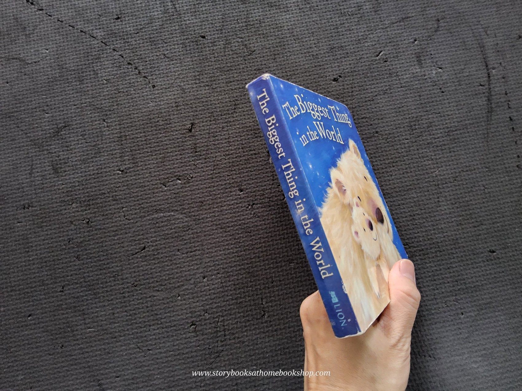 BOARD BOOK** 🍅🍓THE BIGGEST THING IN THE WORLD