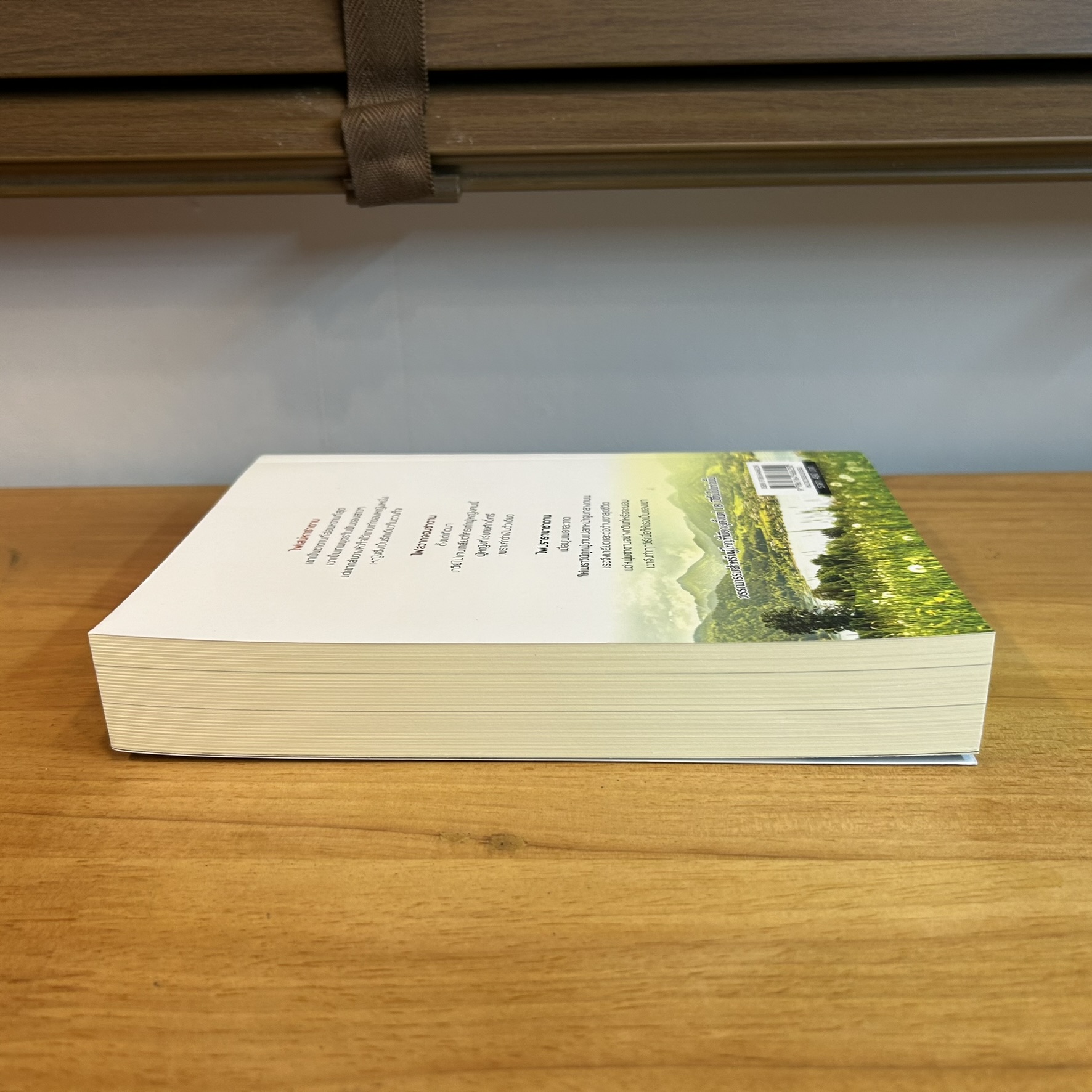 ไฟเสน่หาซาตาน ... ณัฏฐวิตรา (มือสอง) นิยาย โรมานซ์ ทำมือ