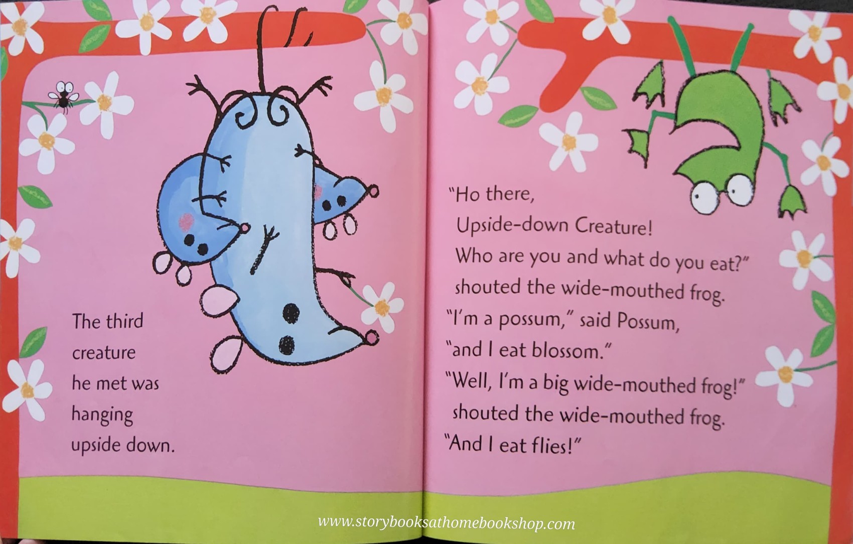 หนังสือนิทานปกอ่อน** 🍅THE BIG WIDE-MOUTHED FROG BY ANA MARTIN LARRANAGA