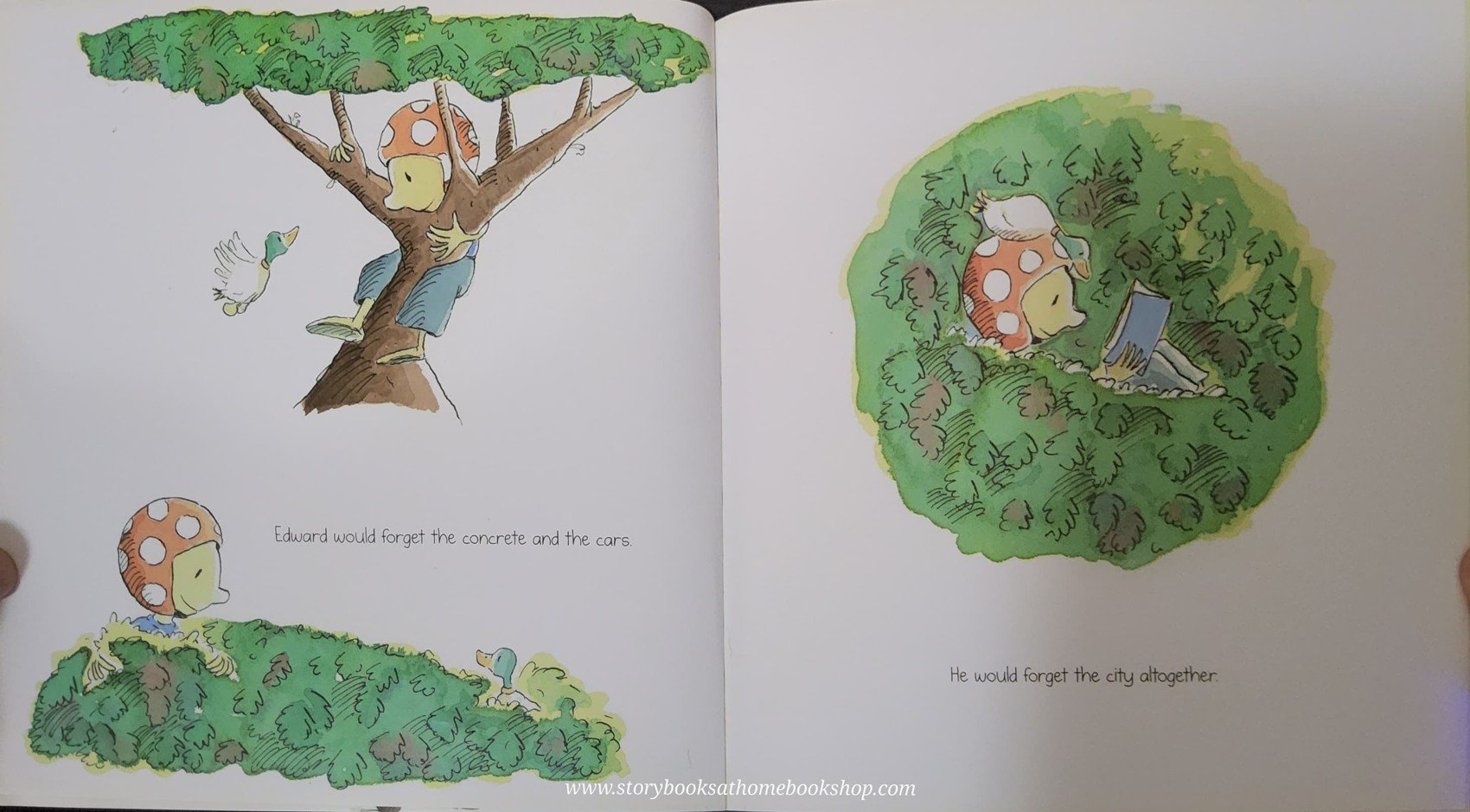 หนังสือนิทานปกอ่อน** 🍅🍓LAST TREE IN THE CITY BY PETER CARNAVAS