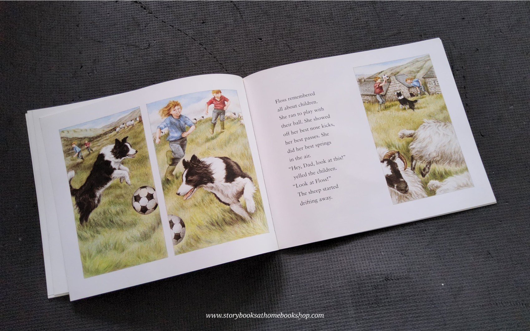 นังสือนิทานปกอ่อน** 🍅🍓FLOSS BY KIM LEWIS WITH CD