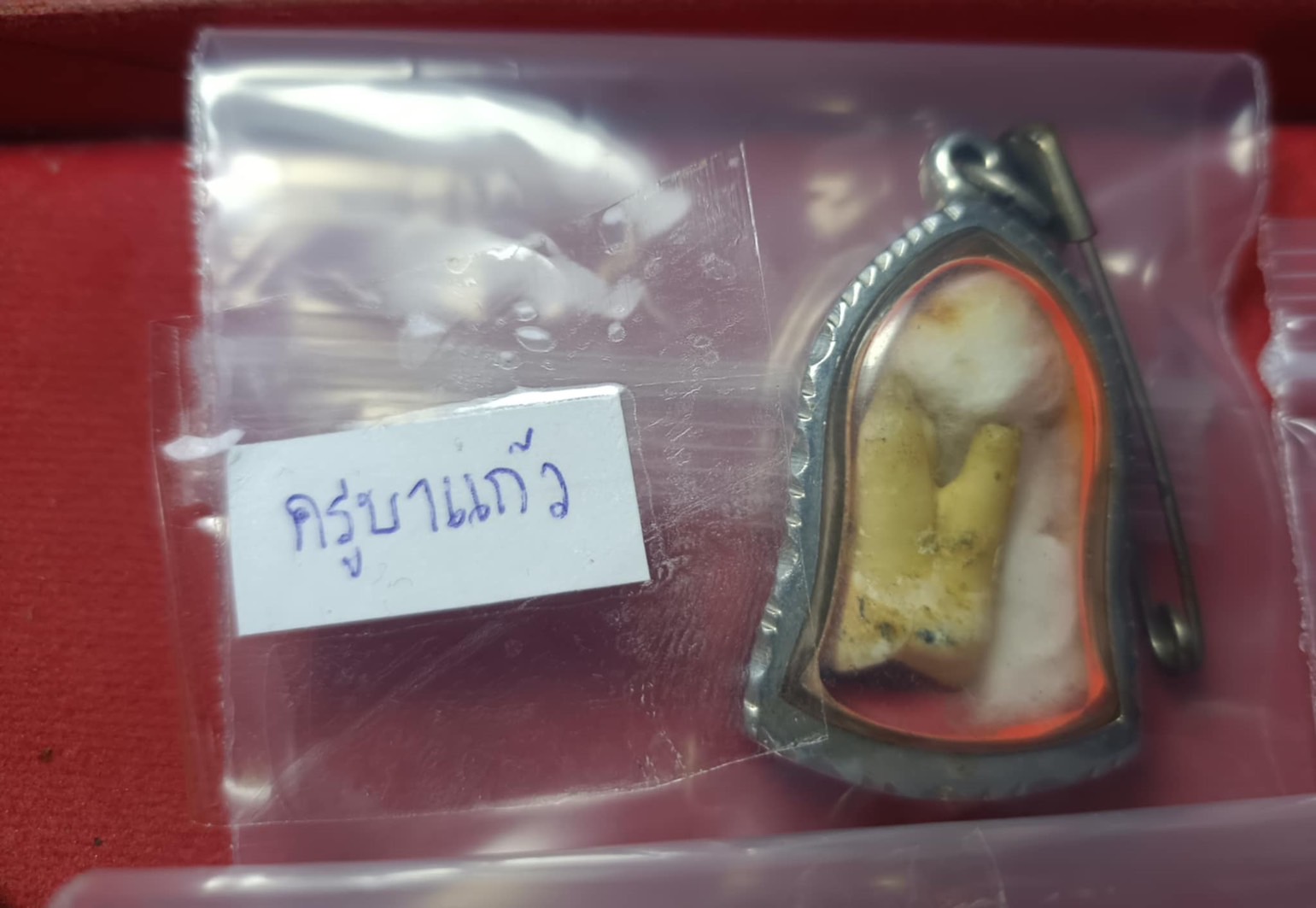 พระทันตธาตุ ครูบาแก้ว วัดเด่นชัย จ.แพร่ ได้มาจากคุณประวิทย์ ได้สืบมาจากคุณพ่อของคุณประวิทย์