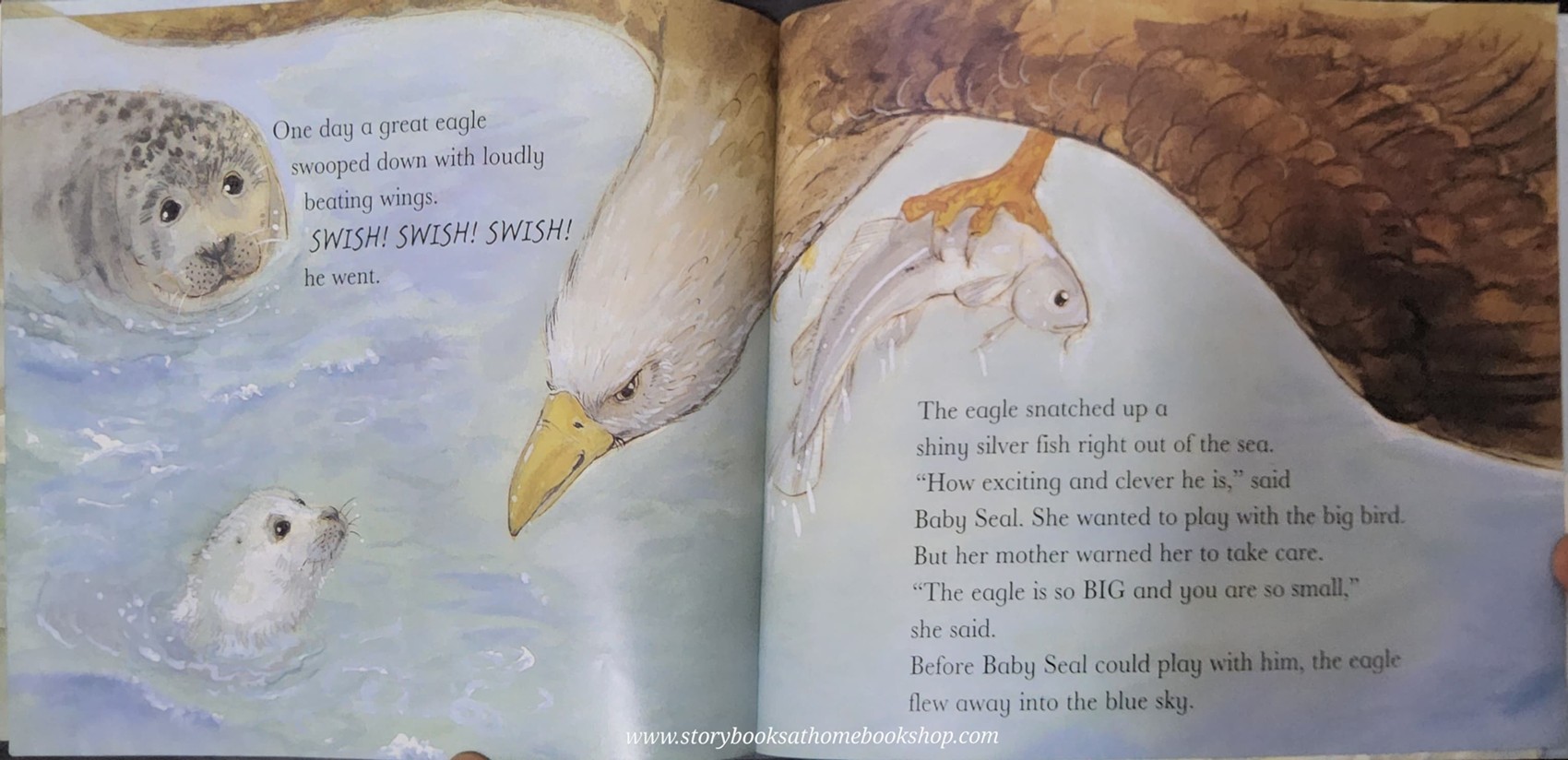 หนังสือนิทานปกอ่อน** 🍅BABY SEAL ALL ALONE