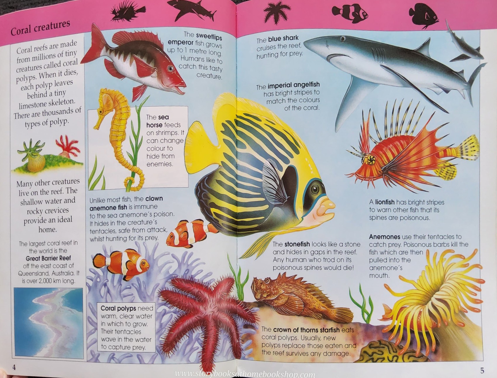 Knowledge Book** ððPUFFIN FACTFINDERS FANTASTIC SEA CREATURES