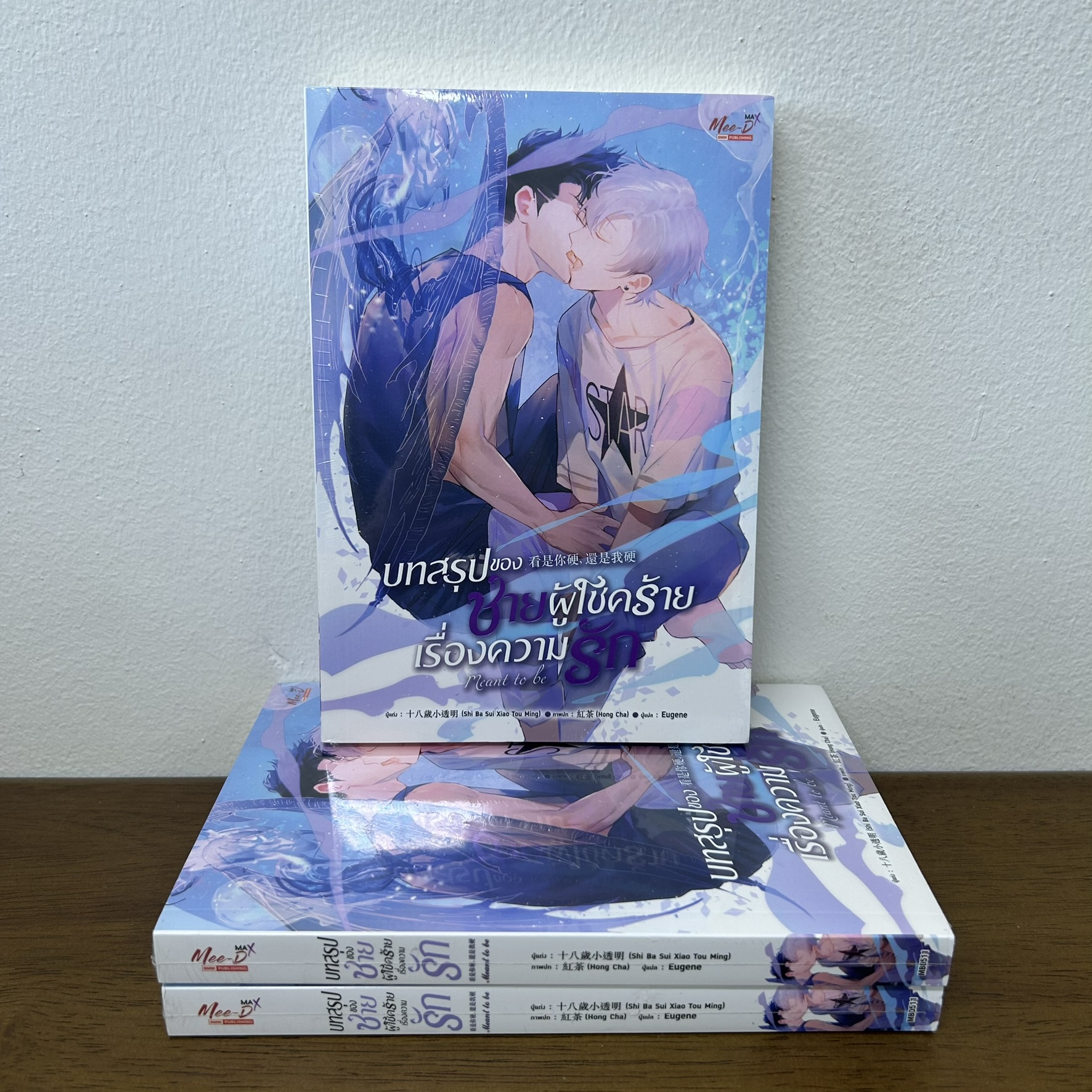 [YAOI] บทสรุปของชายผู้โชคร้ายเรื่องความรัก ... Shi Ba Sui Xiao Tou Ming (มือหนึ่งขีดสัน) นิยายวาย มีดี Meedee