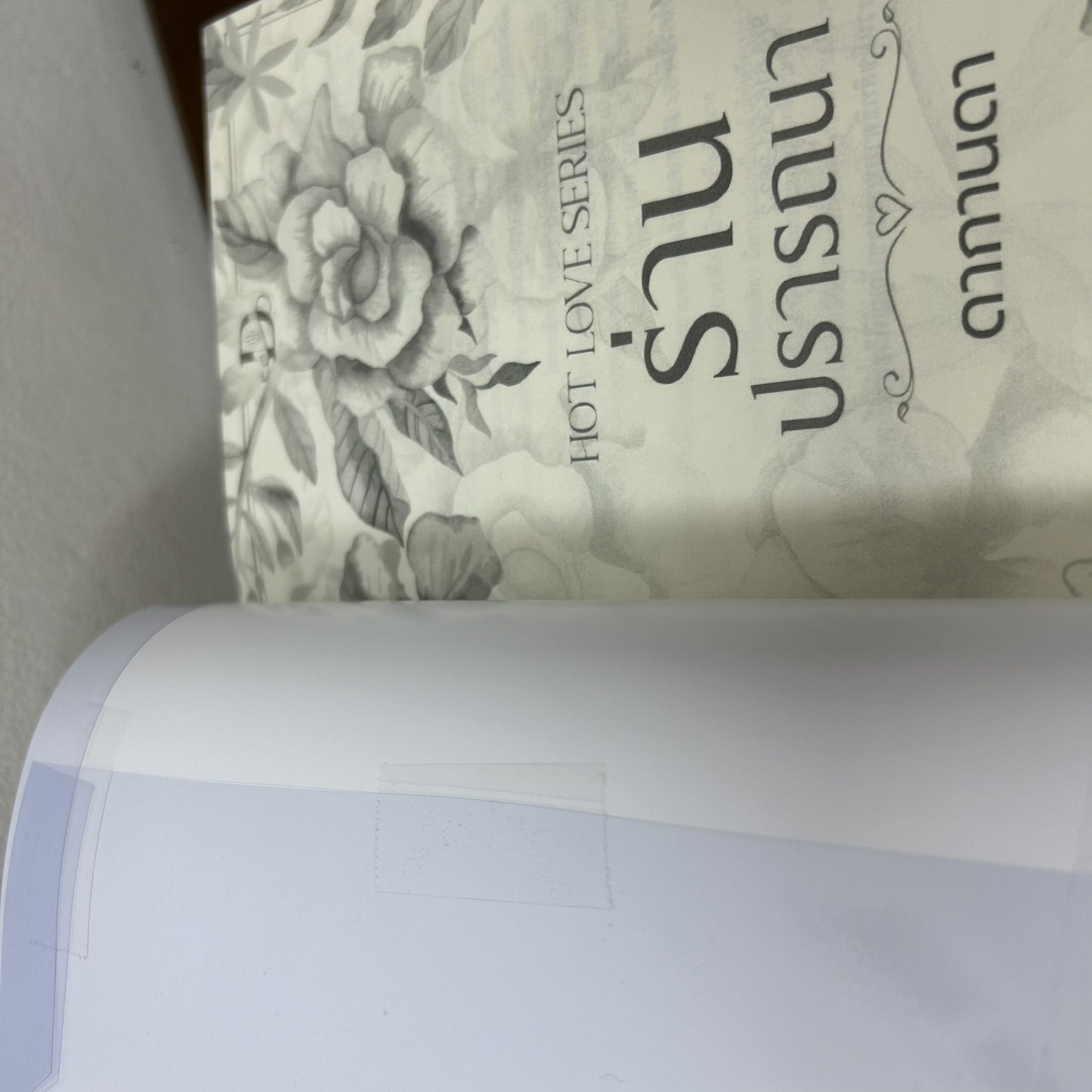 BOXSET Hot Love - ร่านปรารถนา/เพลิงรัญจวน/เมขลาล่อแก้ว ... ดากานดา (มือสอง) นิยาย โรมานซ์