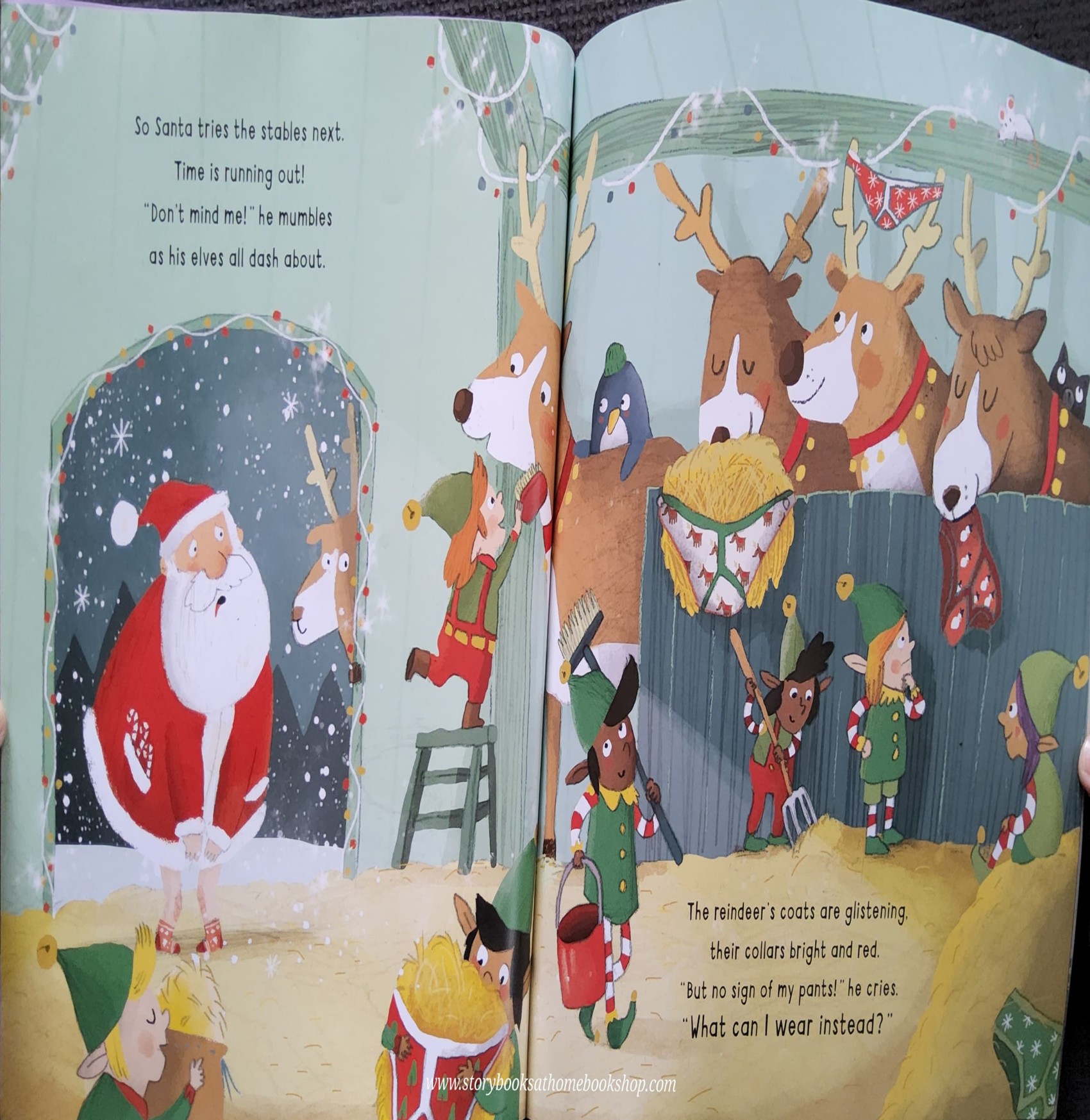 หนังสือนิทานปกอ่อน** 🍅🍓CAN YOU FIND SANTA'S PANTS?