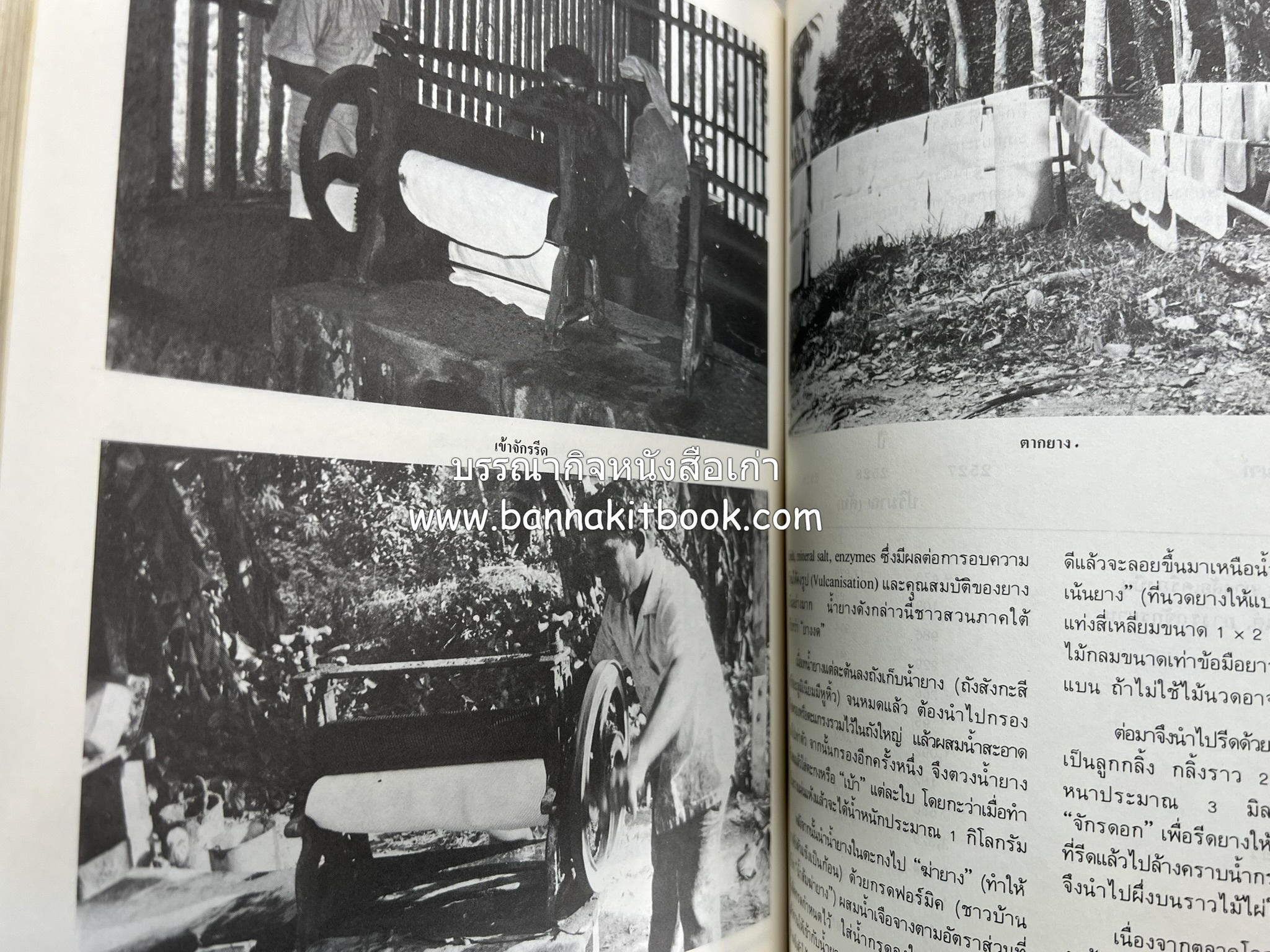 ถลาง ภูเก็ต และชายฝั่งทะเลอันดามัน : โบราณคดี ประวัติศาสตร์ ชาติพันธุ์และเศรษฐกิจ.