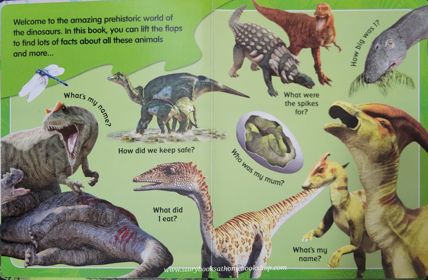 KNOWLEDGE FLAPS BOOK** 🍅🍓LIFE AND EXPLORE DINOSAURS:WHAT'S UNDER THE FLAPS?