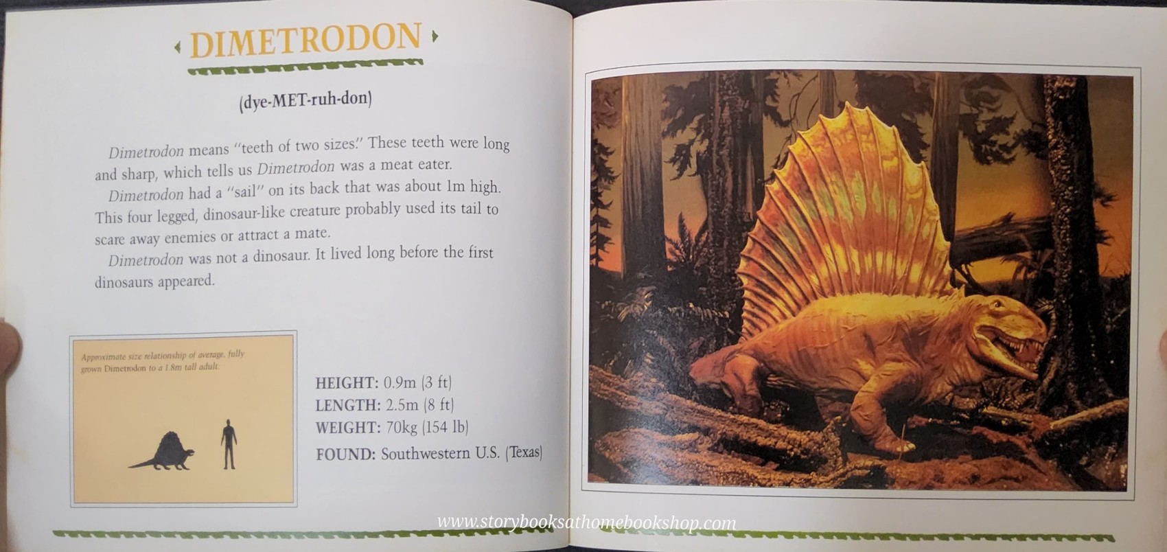 หนังสือนิทานปกอ่อน ** 🍅🍓 DINAMATION'S DINOSAURS ALIVE!