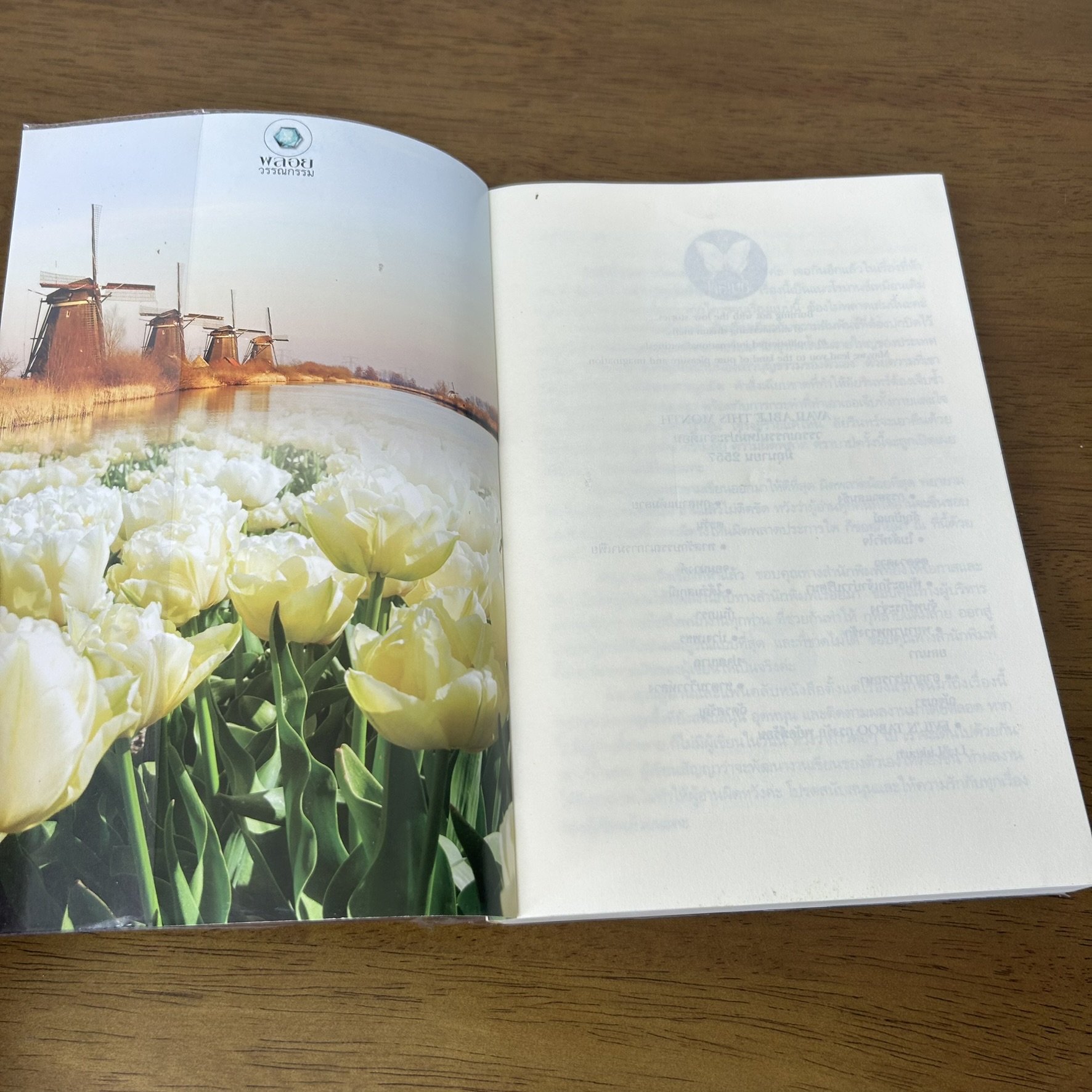 กุหลาบแต้มลาย ... ตะวัน (มือสอง) นิยาย โรมานซ์ พลอยวรรณกรรม