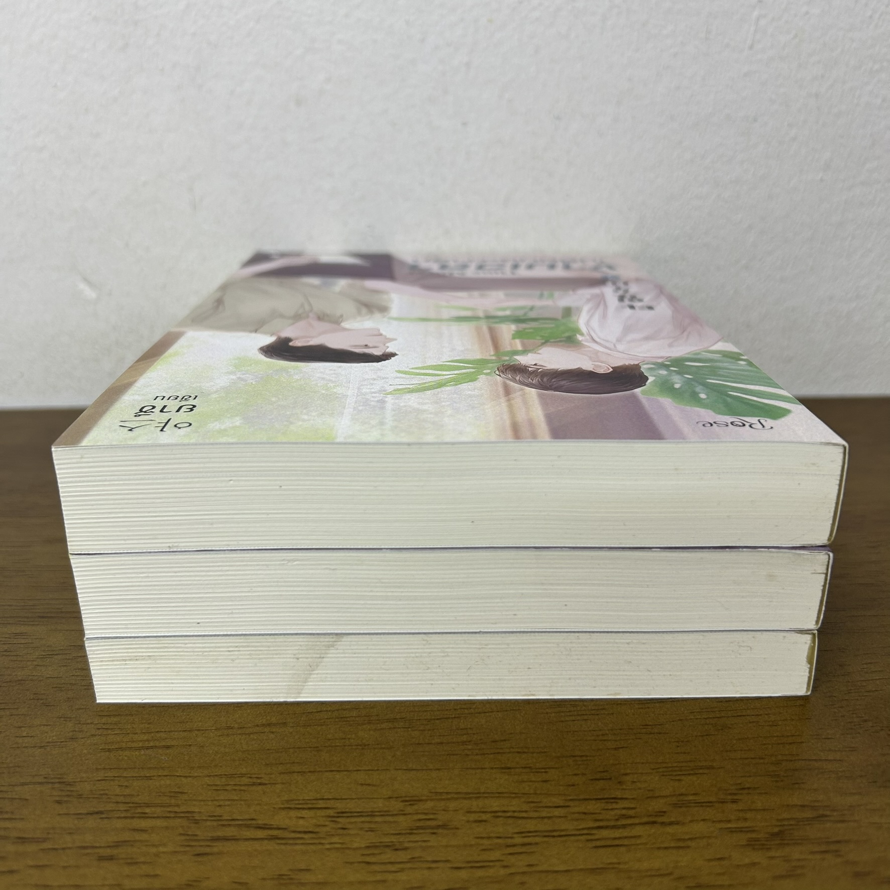 [YAOI] ข้ามเวลาเปลี่ยนชะตารัก เล่ม 1-3 จบ ... ยาซึ (มือสอง) นิยายวาย Rose