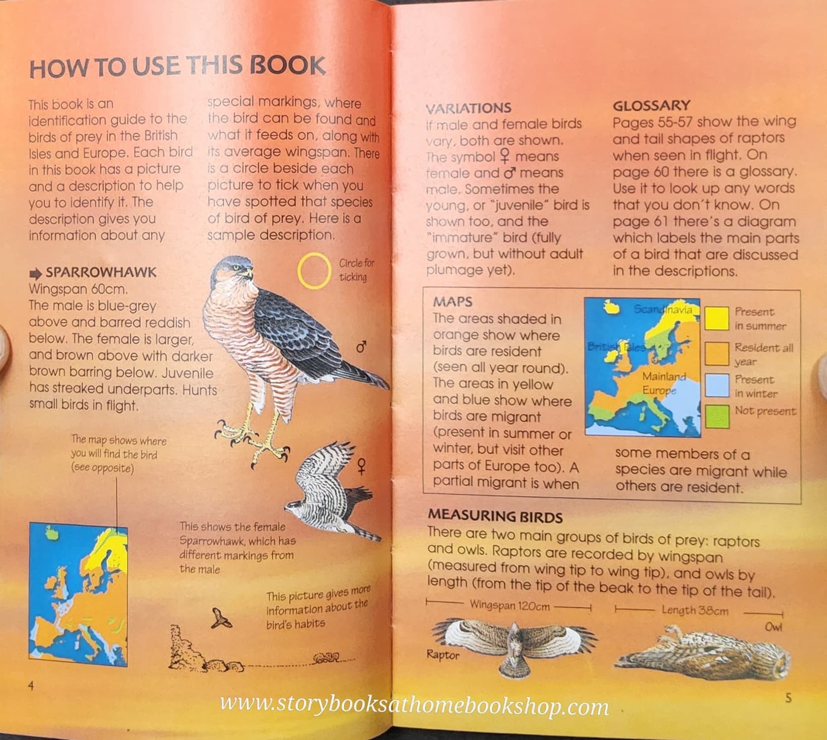 Knowledge Book** ð
ð
Usborne Spotter's Guide BIRDS OF PREY